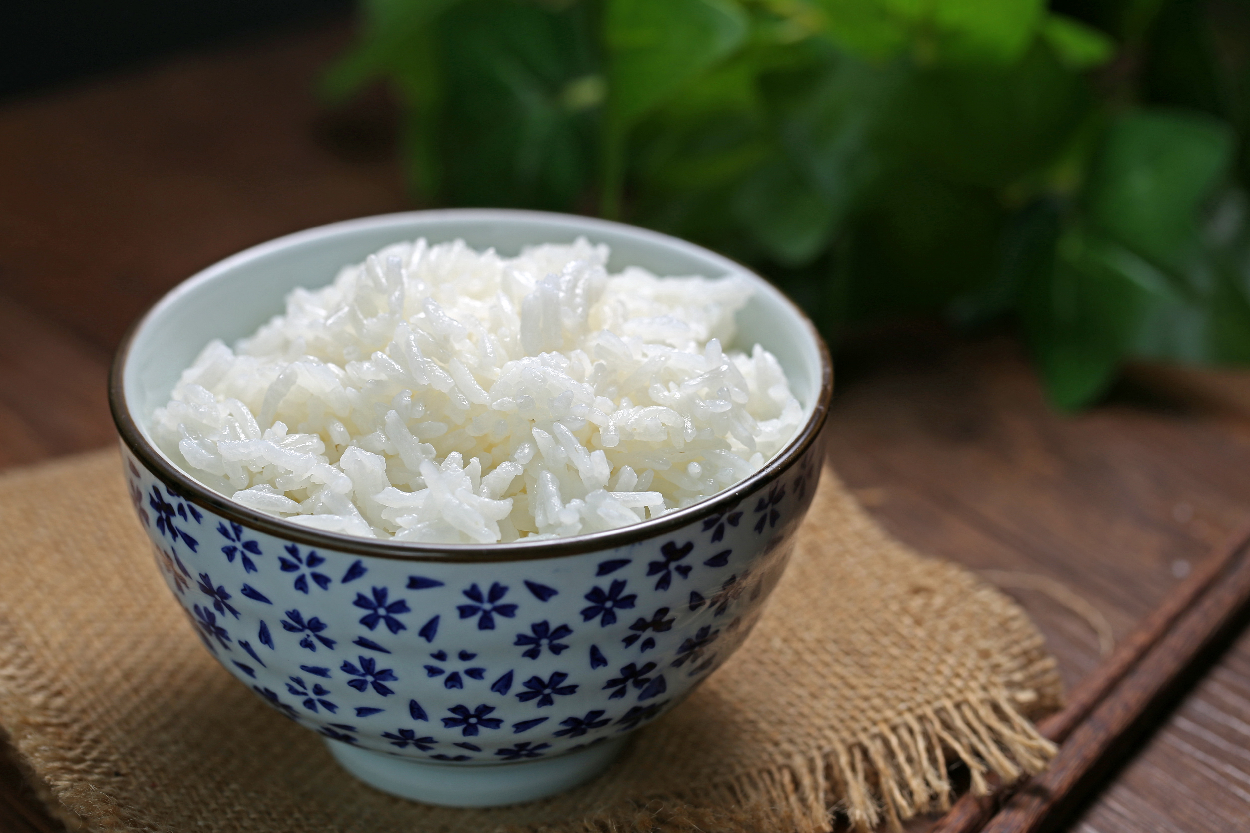 Premium Dinorado White Rice