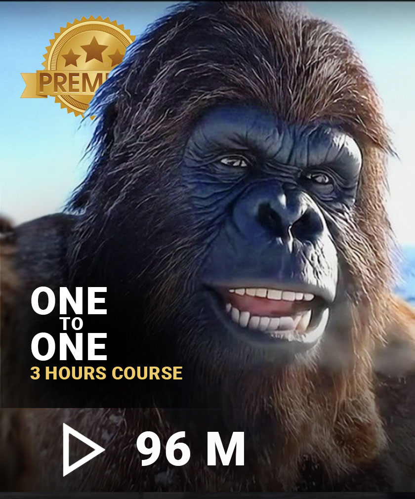 Exclusive 3-Hour 1-on-1 AI Video Masterclass