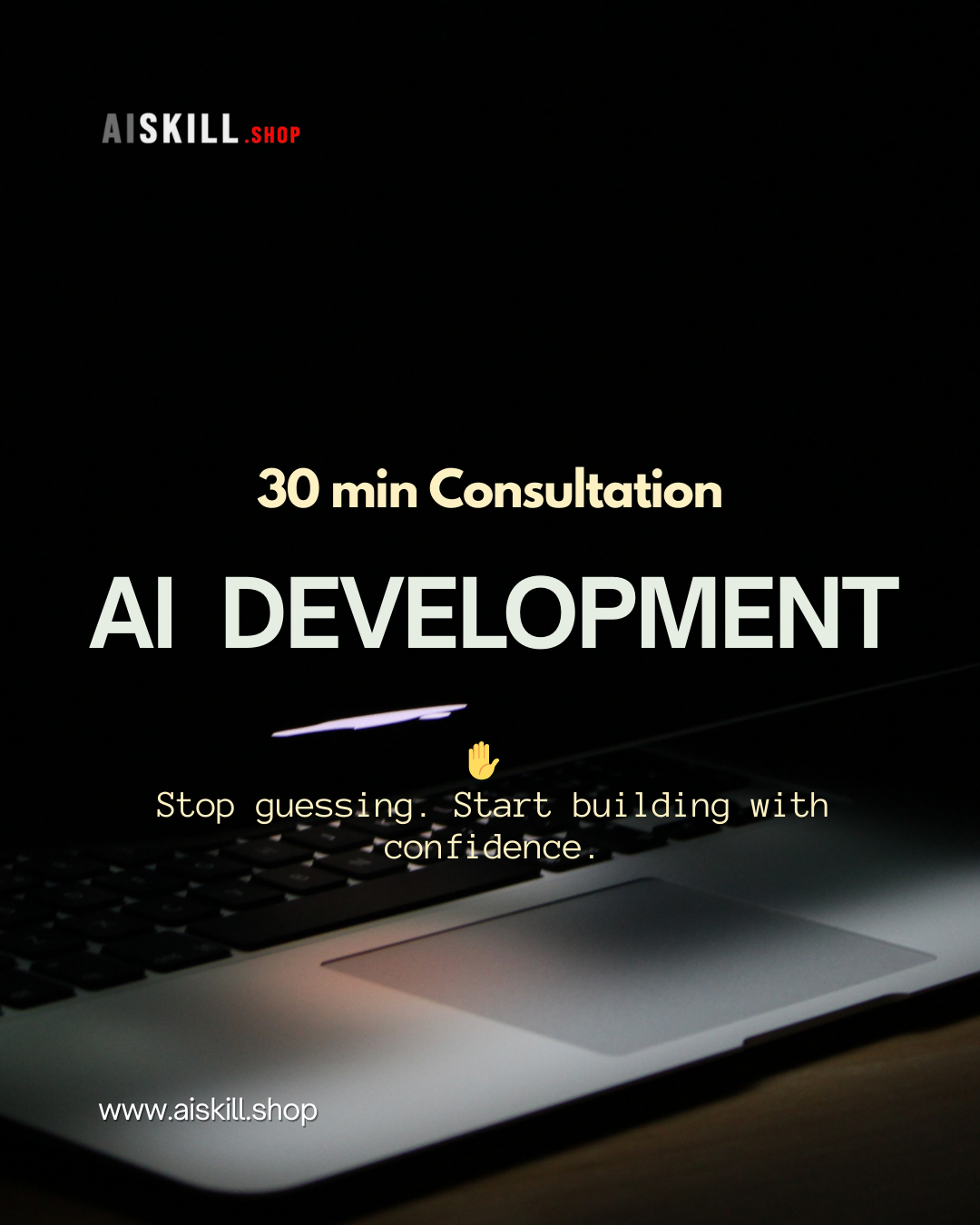 AI Development Consultation