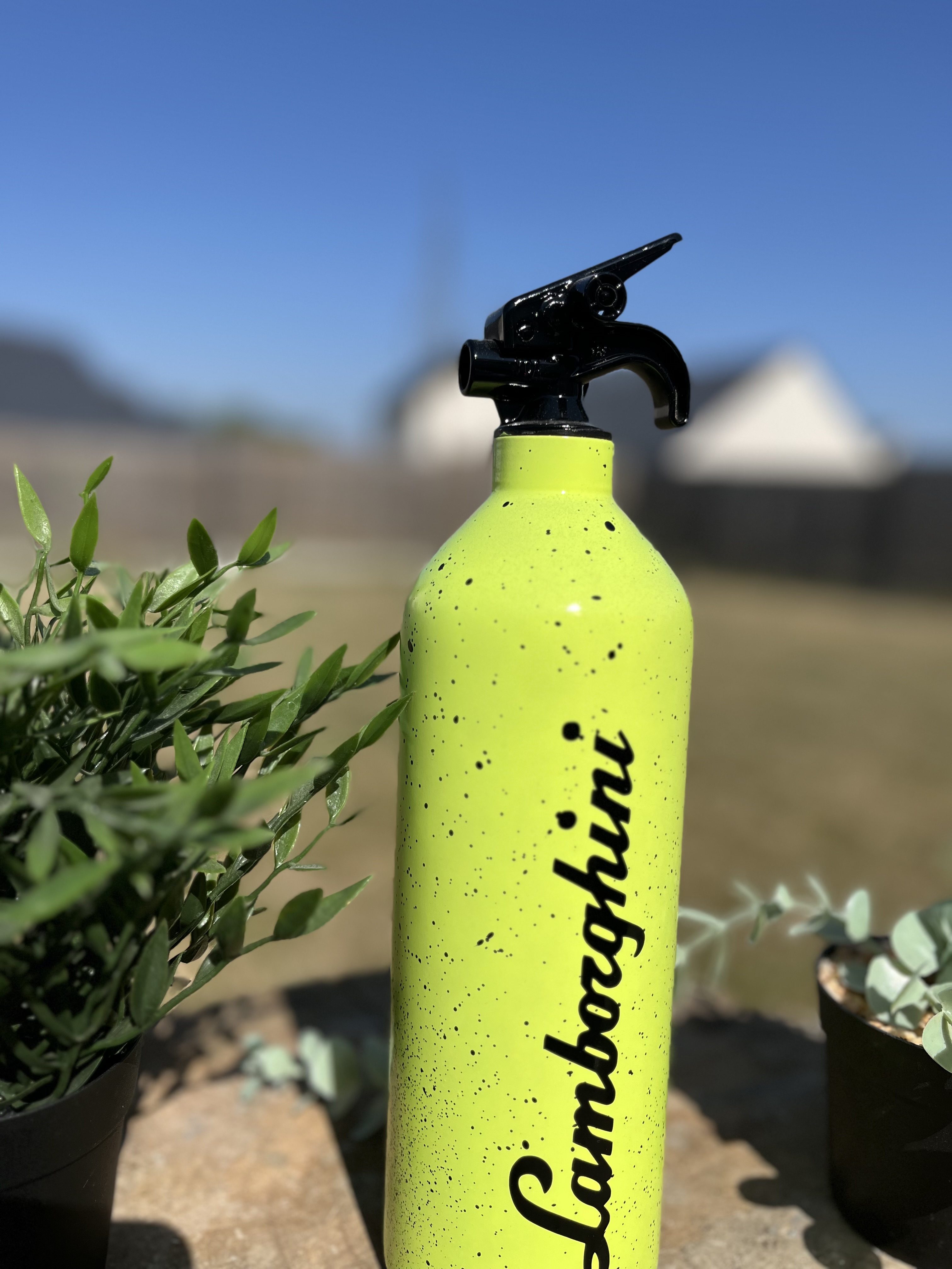 Extincteur 1KG LAMBORGHINI