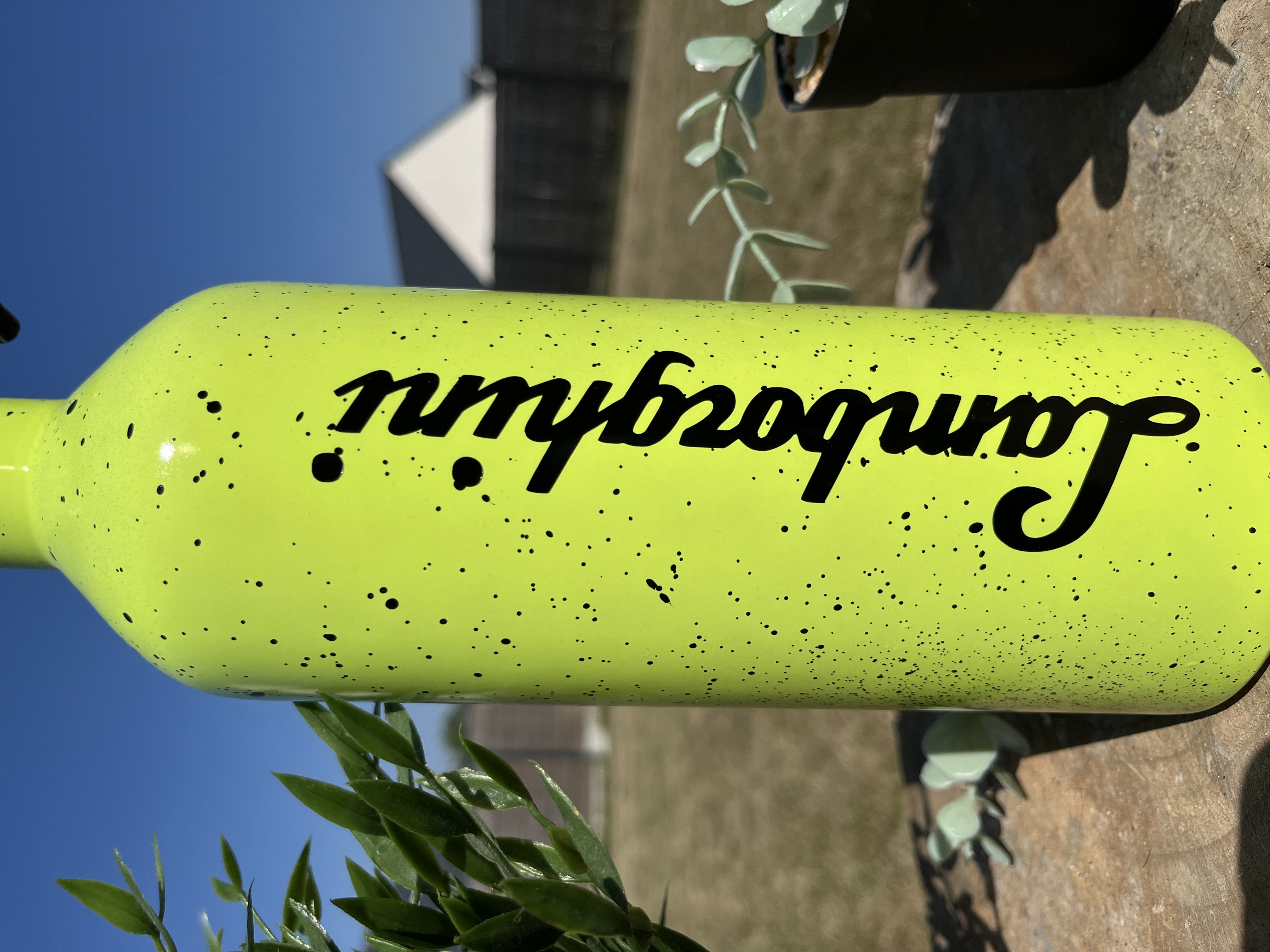 Extincteur 1KG LAMBORGHINI