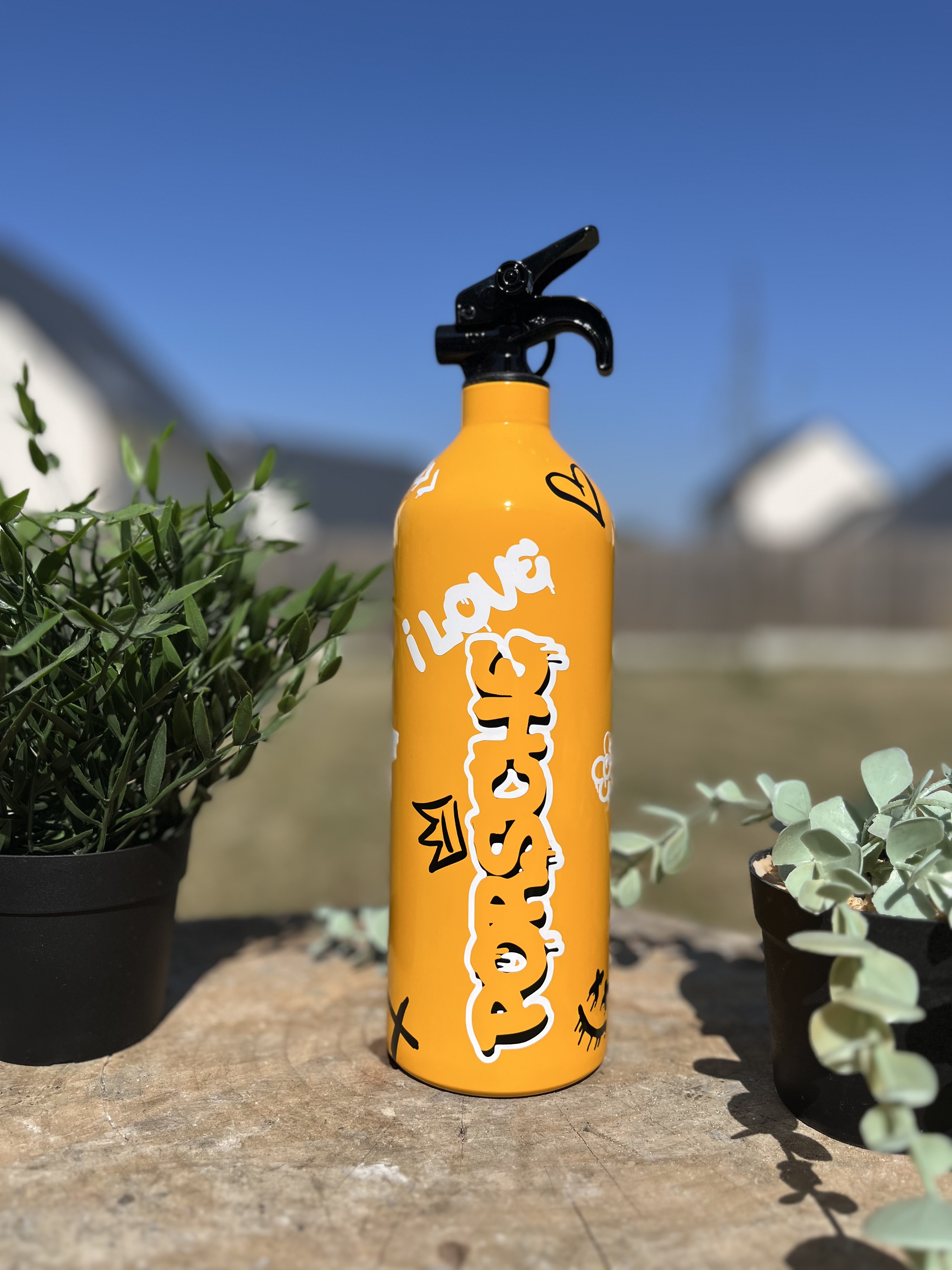 Extincteur 1KG graffiti PORSCHE