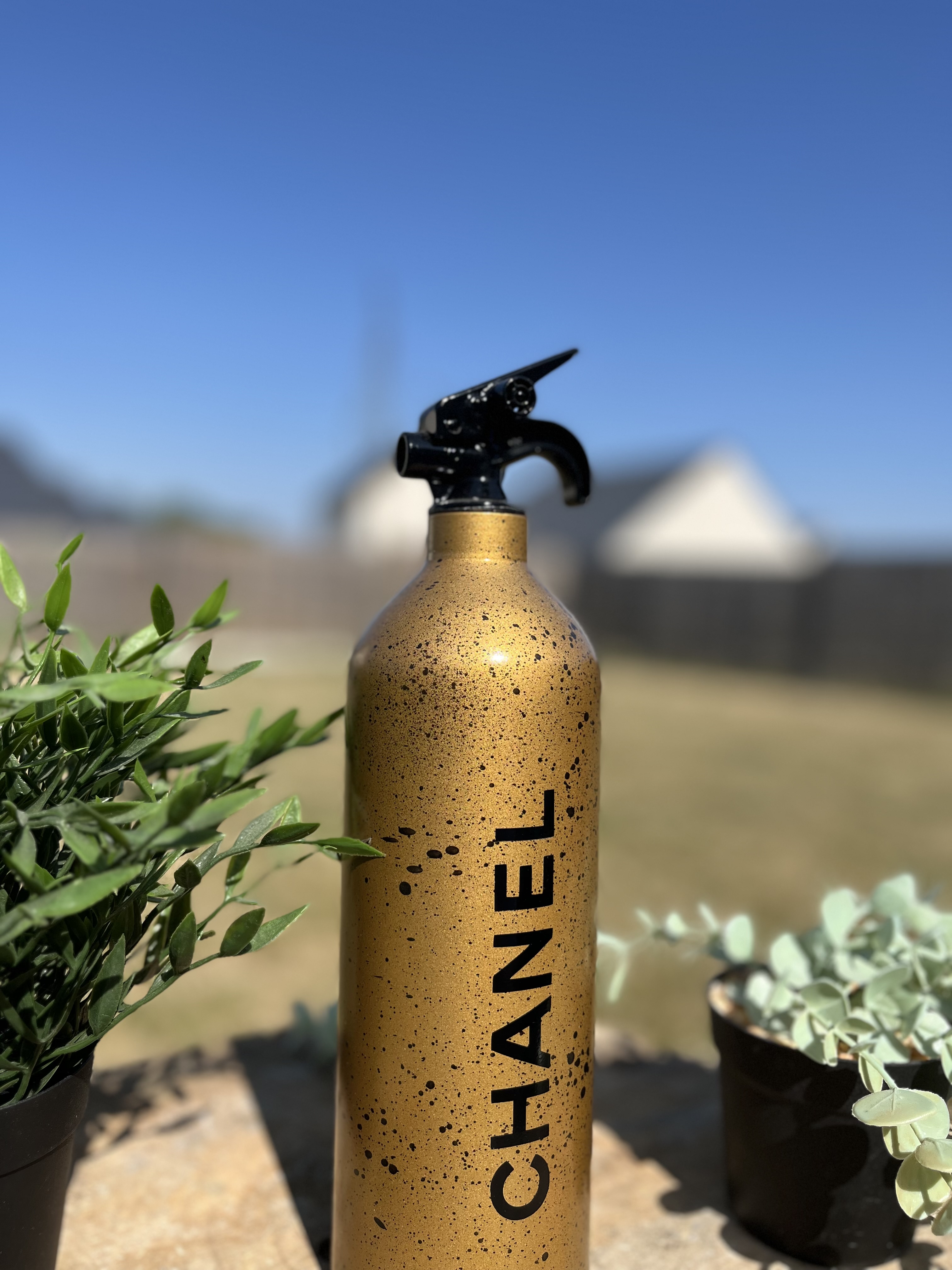 Extincteur 1KG CHANEL