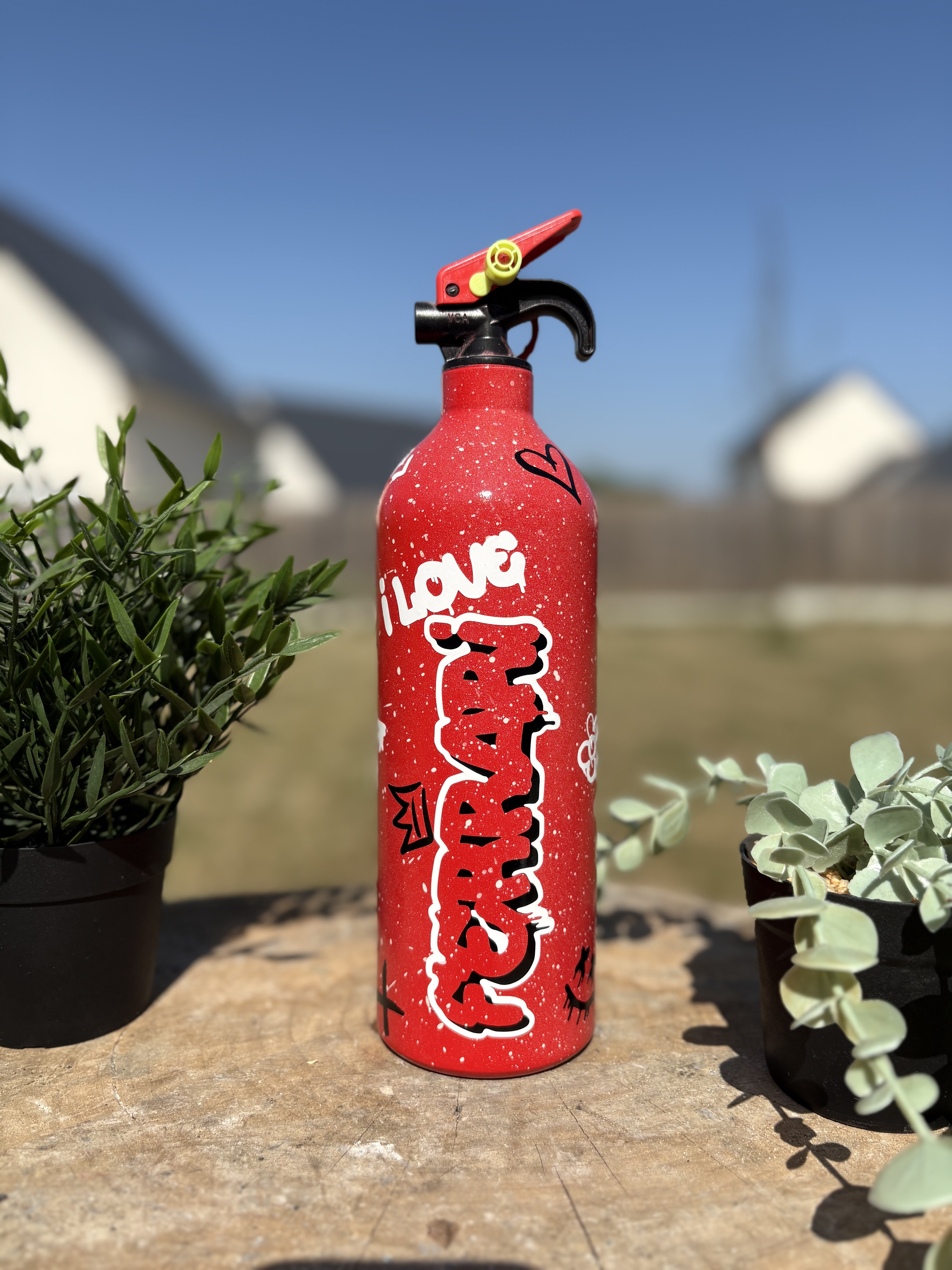 Extincteur 1KG graffiti FERRARI