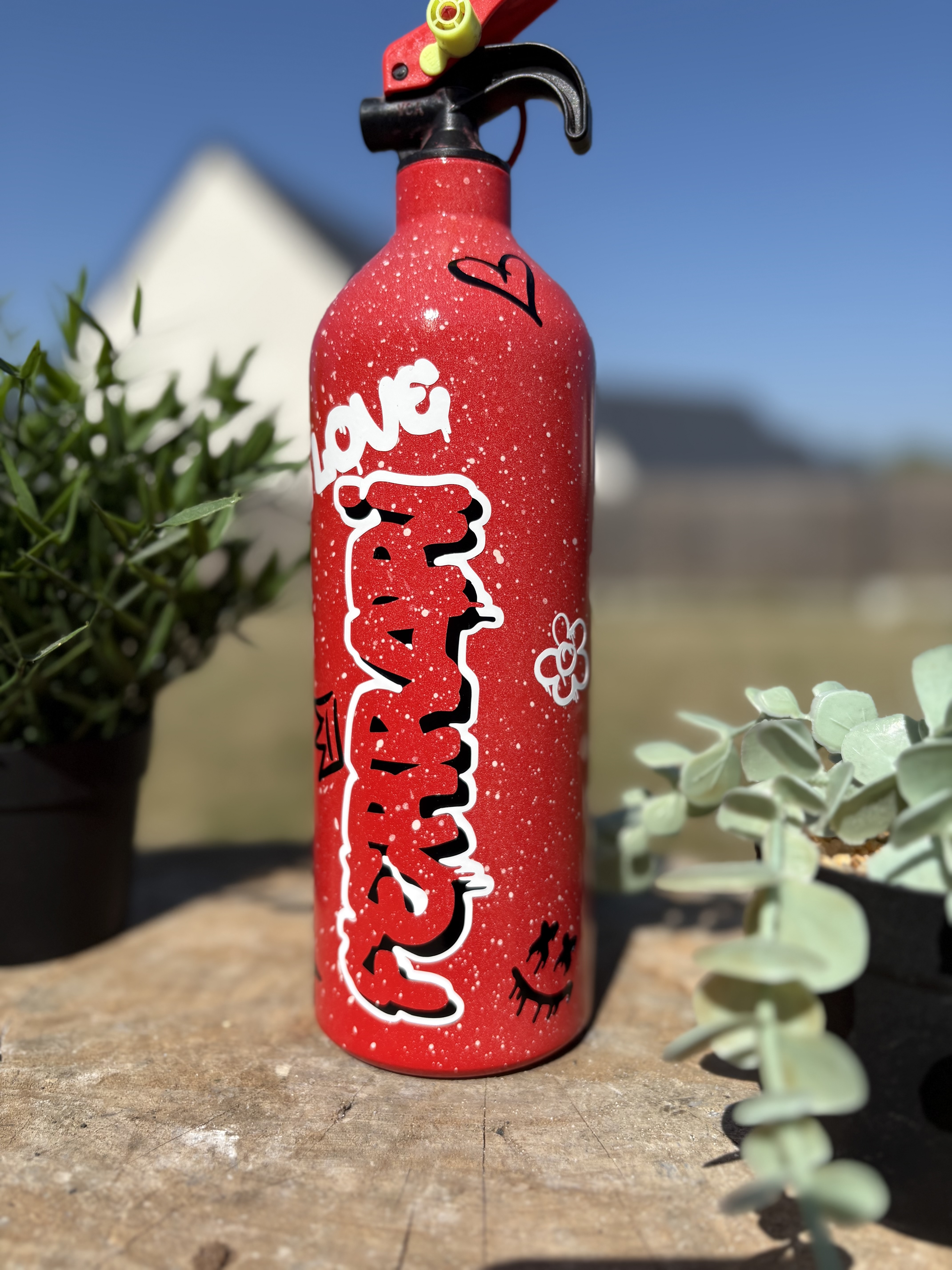 Extincteur 1KG graffiti FERRARI