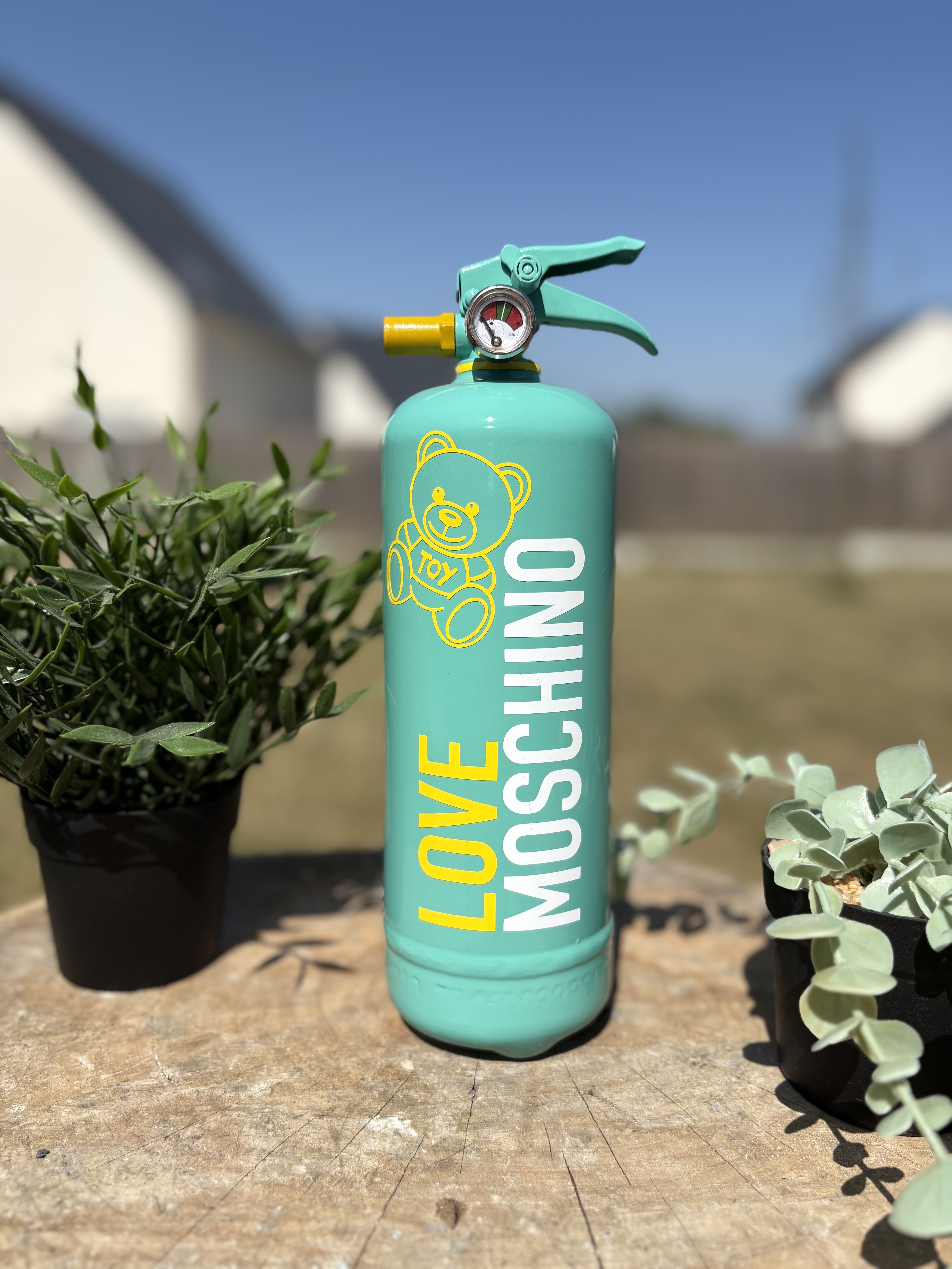 Extincteur 1KG MOSCHINO