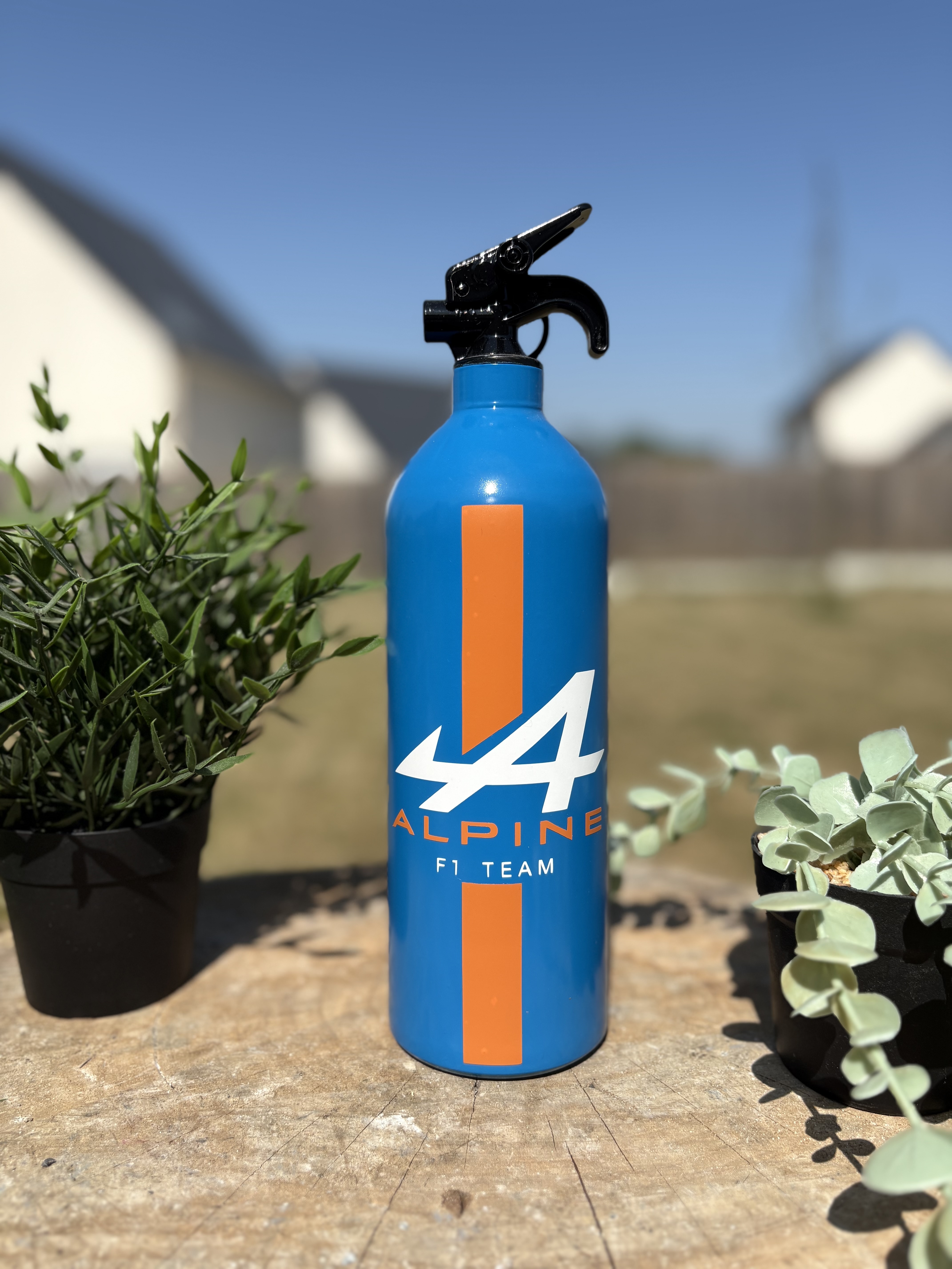 Extincteur 1KG ALPINE