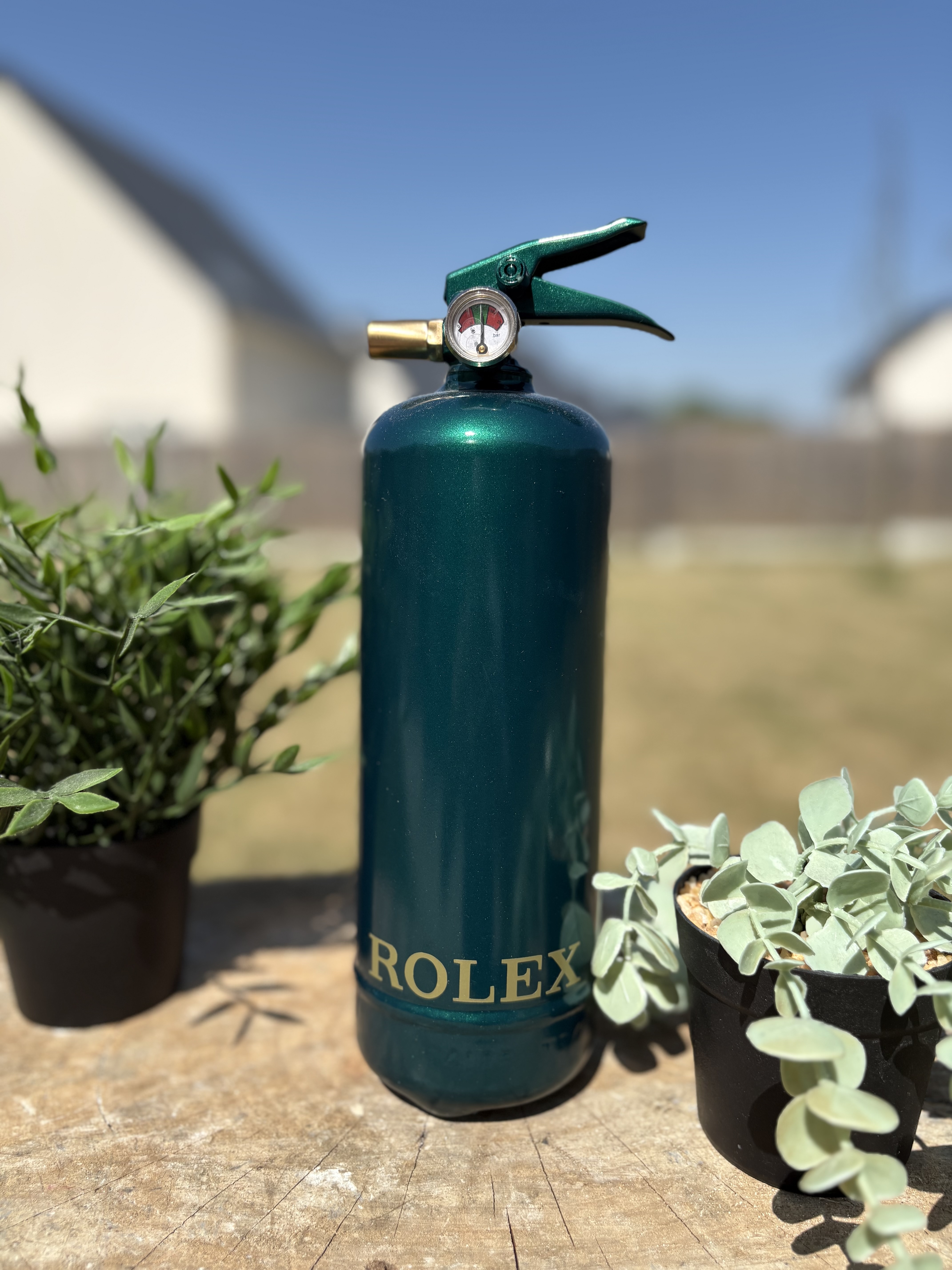 Extincteur 1KG ROLEX