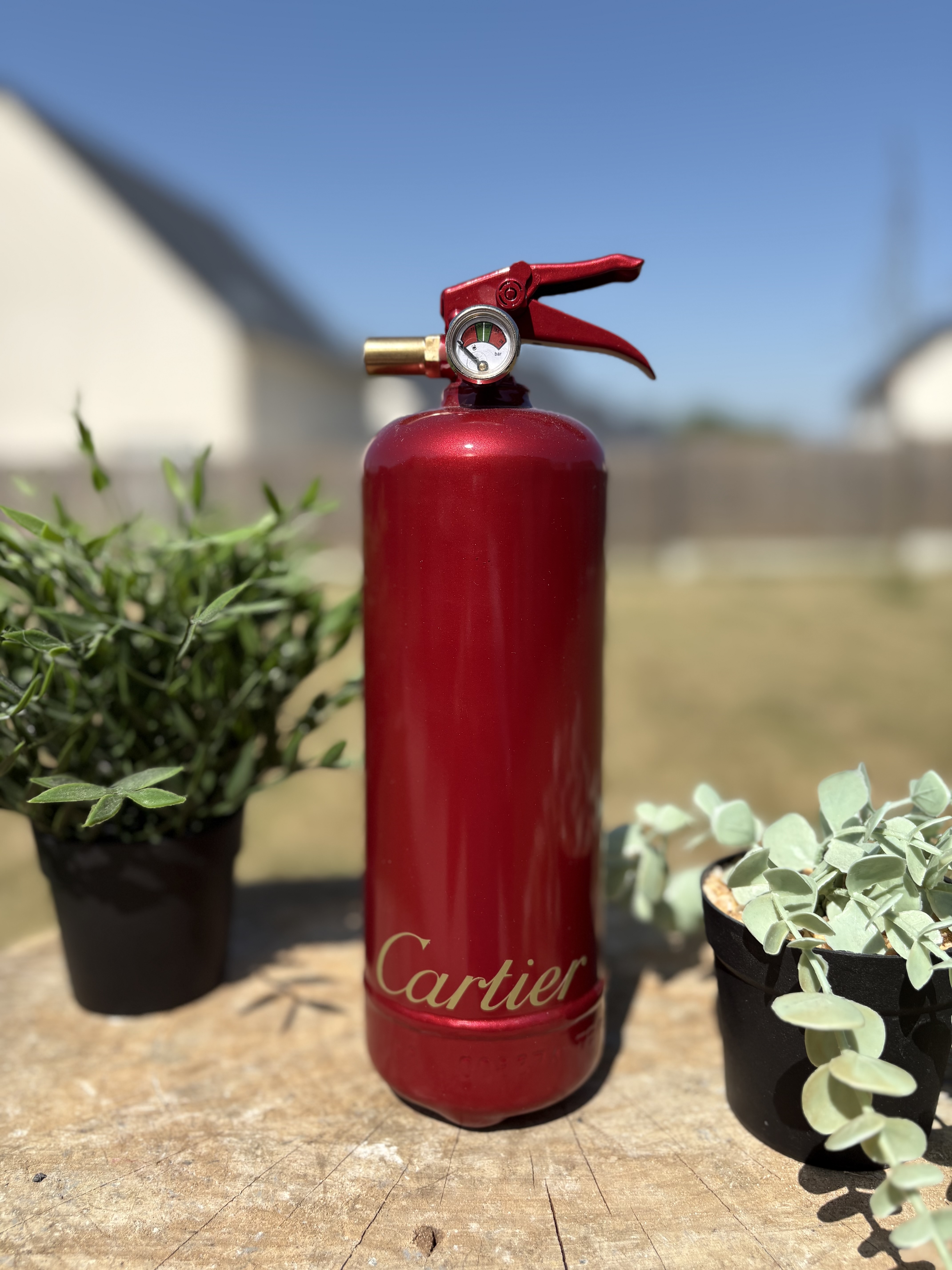 Extincteur 1KG CARTIER