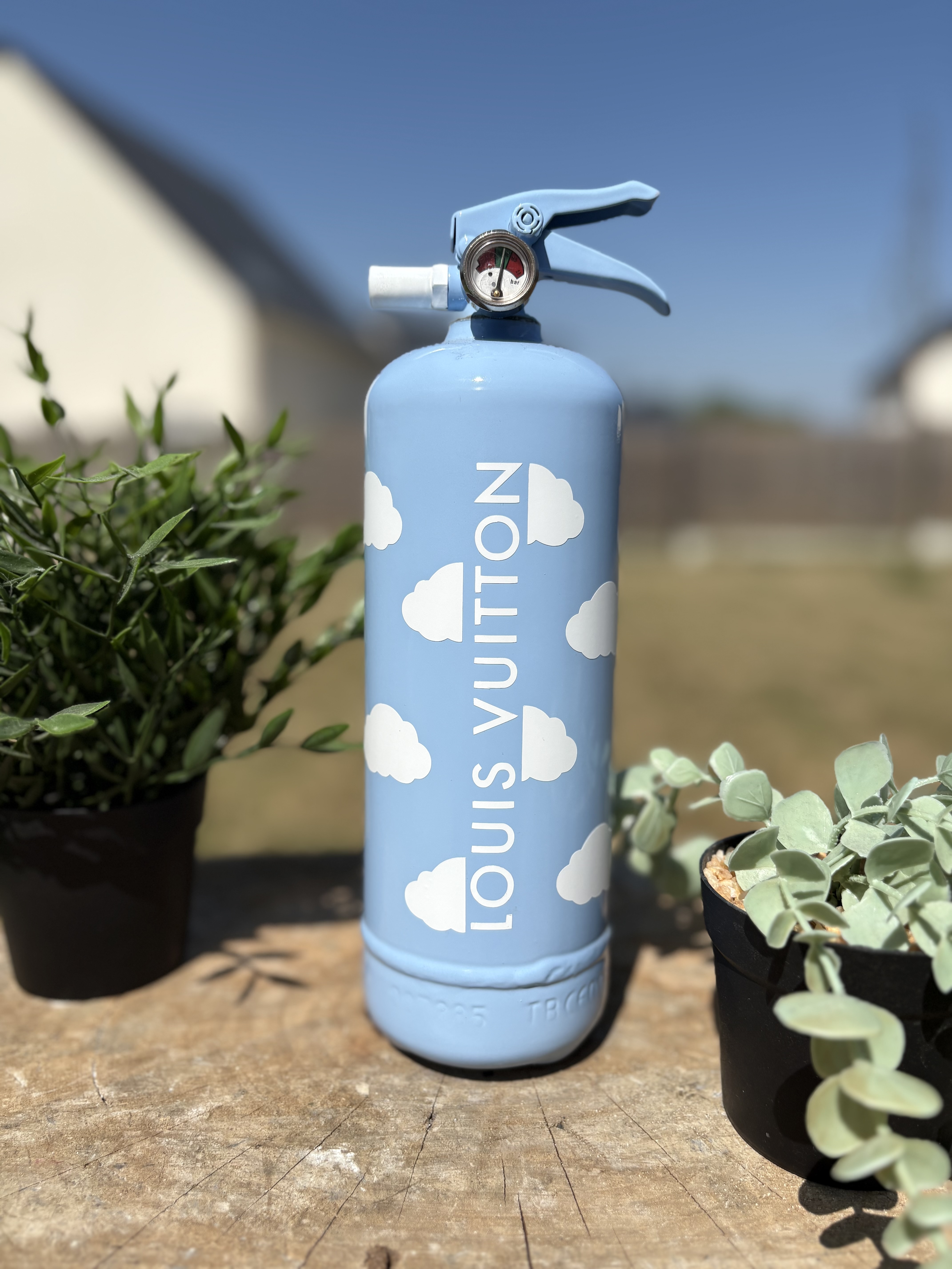 Extincteur 1KG LOUISVUITTON