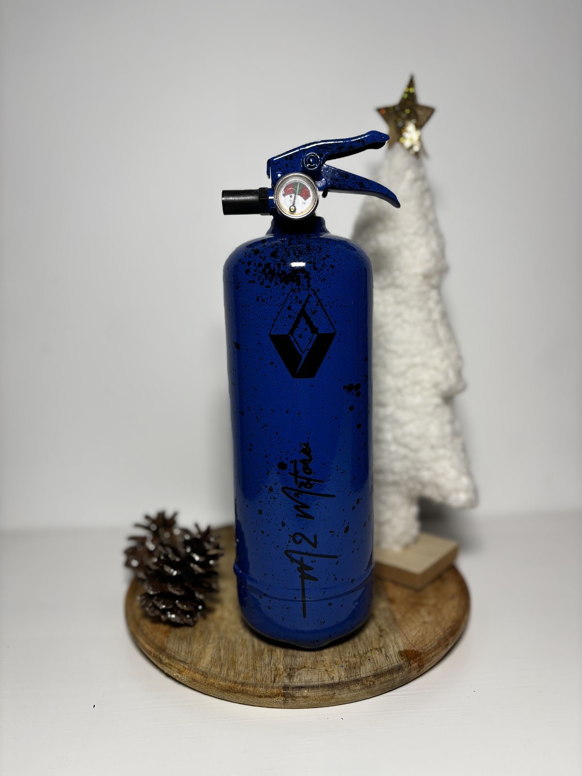 Extincteurs Renault 2