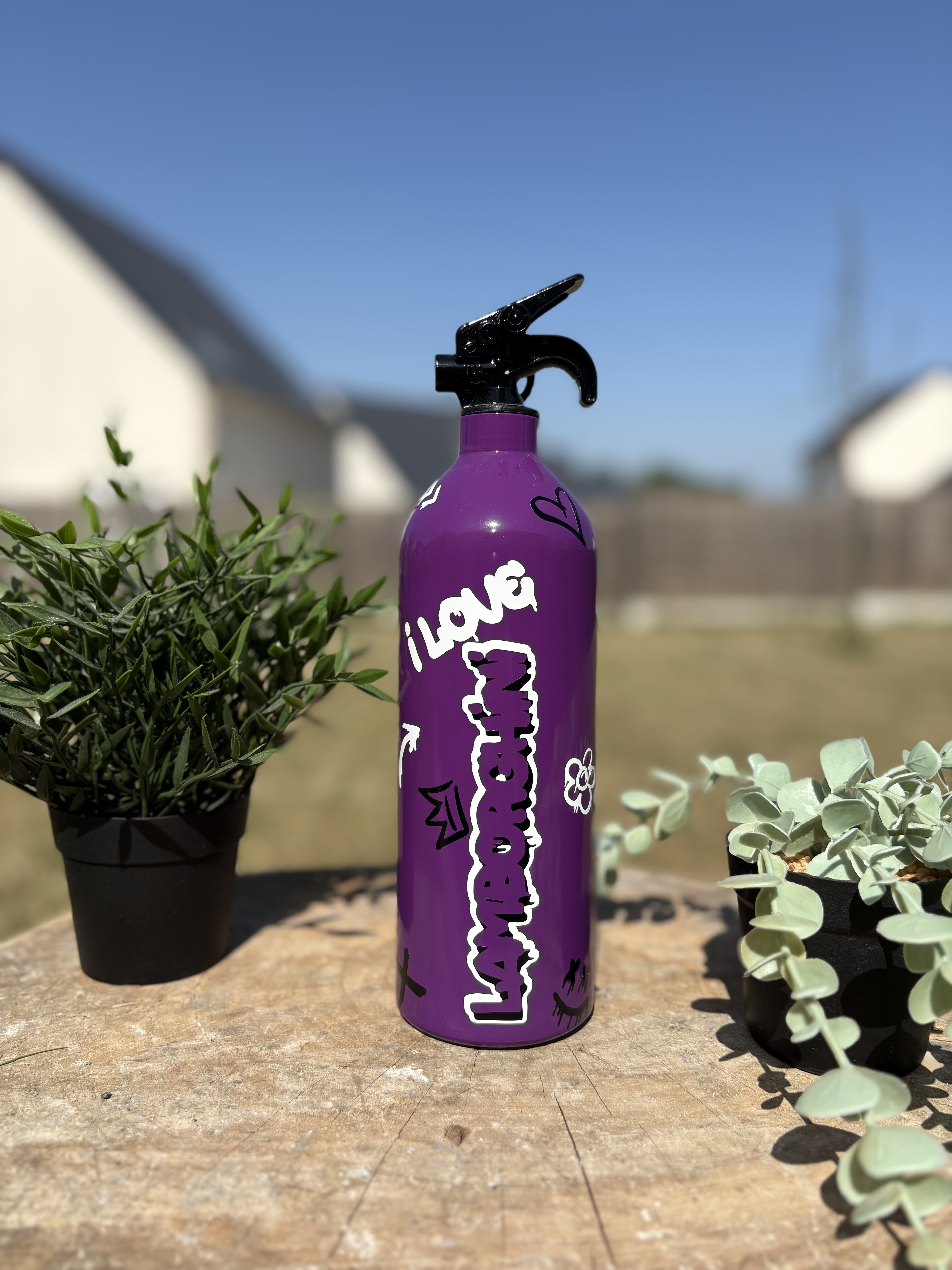 Extincteur 1KG GRAFFITI LAMBORGHINI