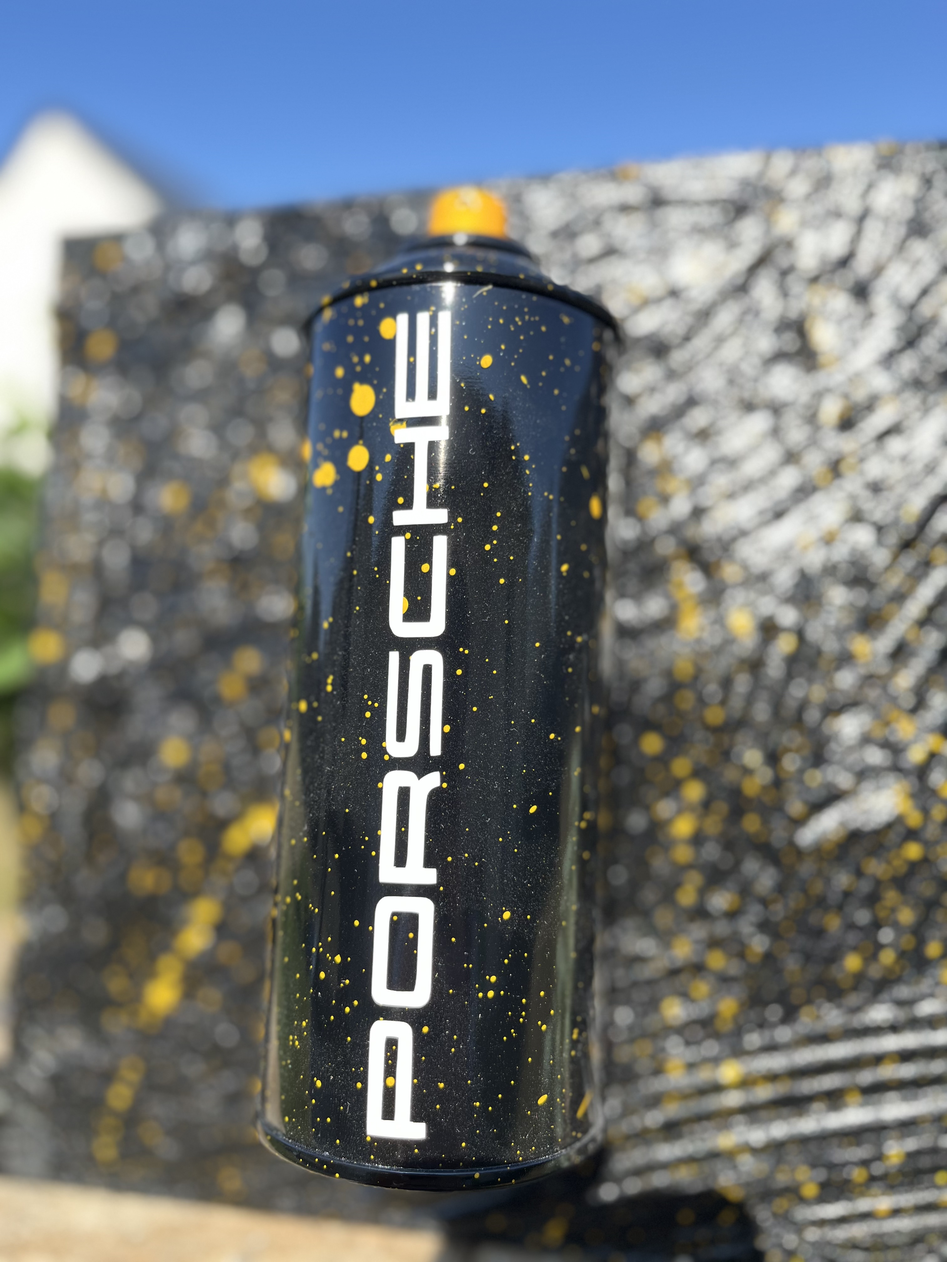 Toile Bombe PORSCHE 3D