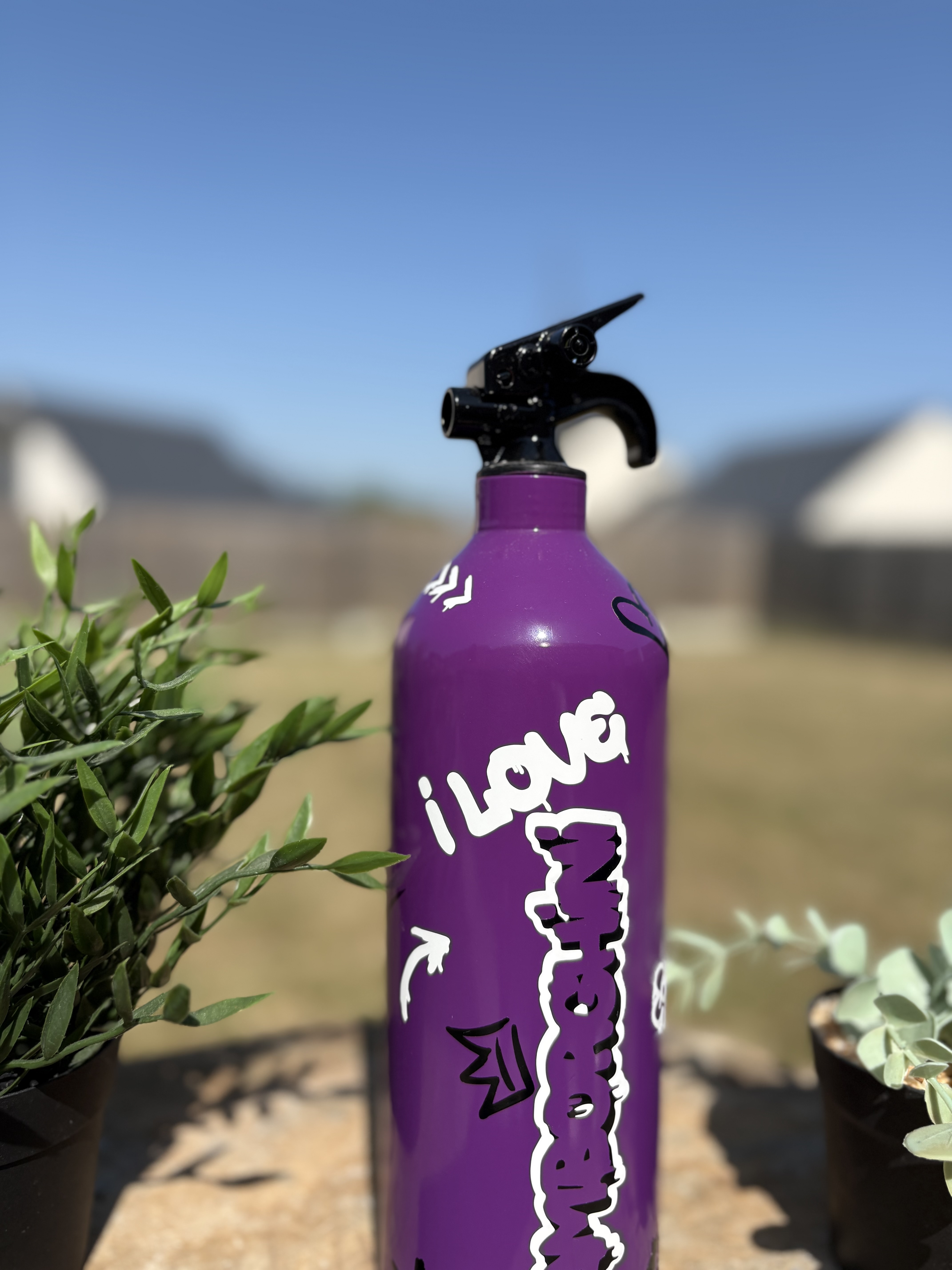 Extincteur 1KG GRAFFITI LAMBORGHINI