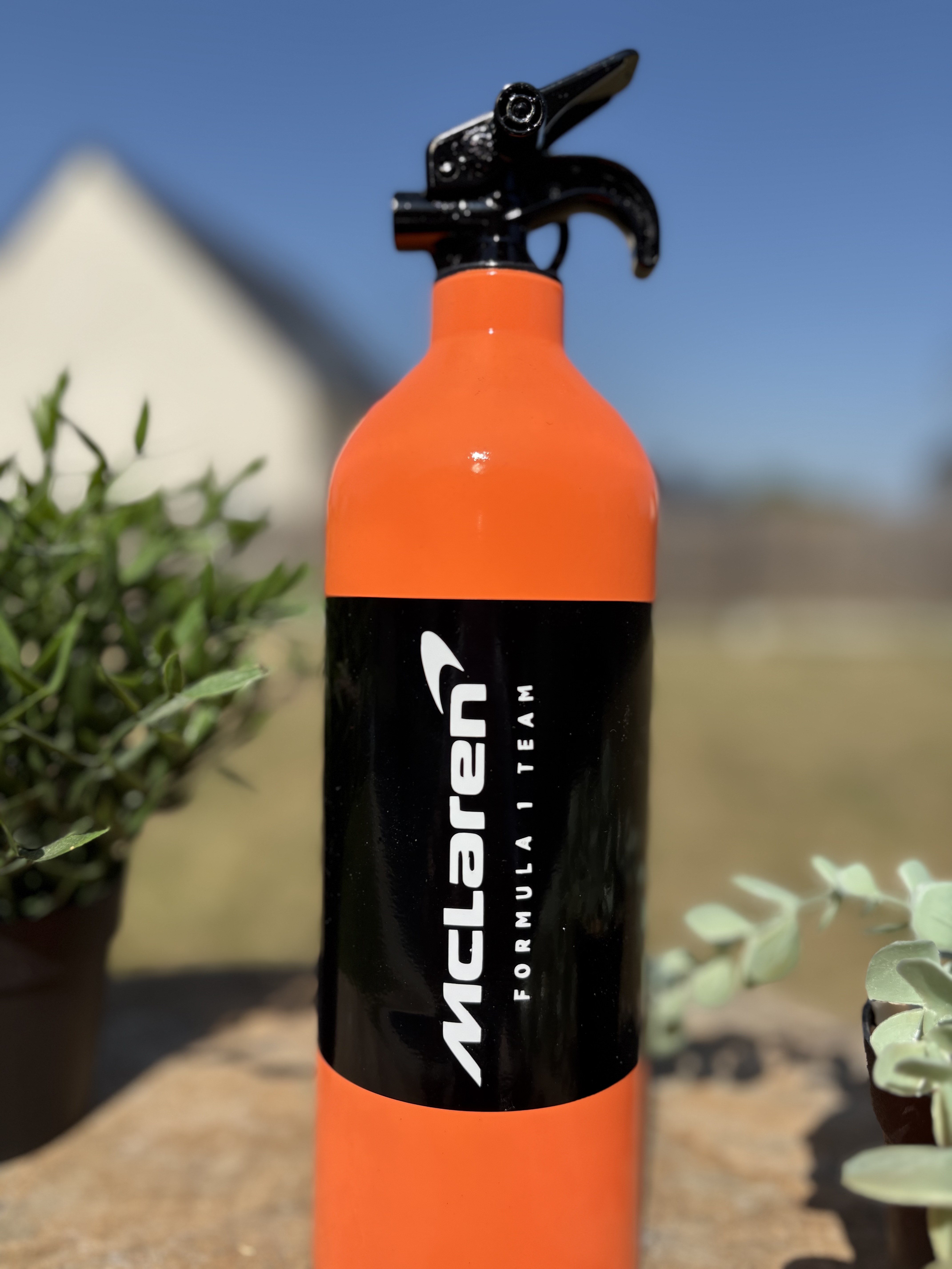 Extincteur 1KG MCLAREN F1