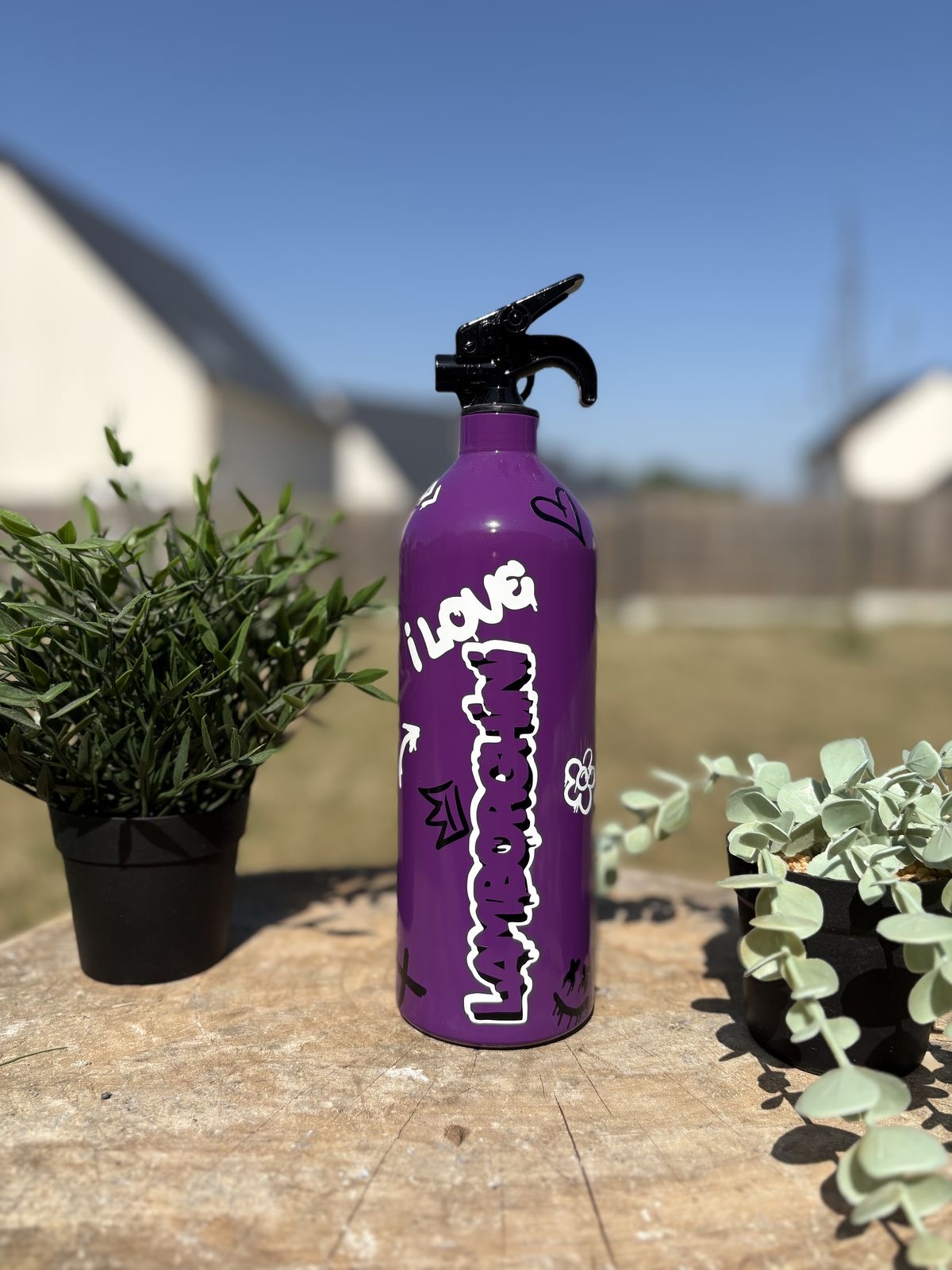 Extincteurs Lamborghini