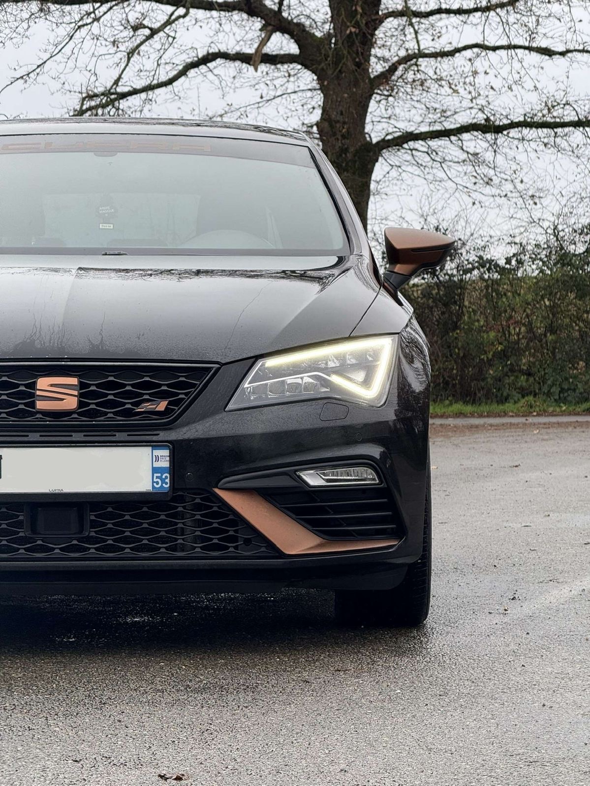 Cupra 300