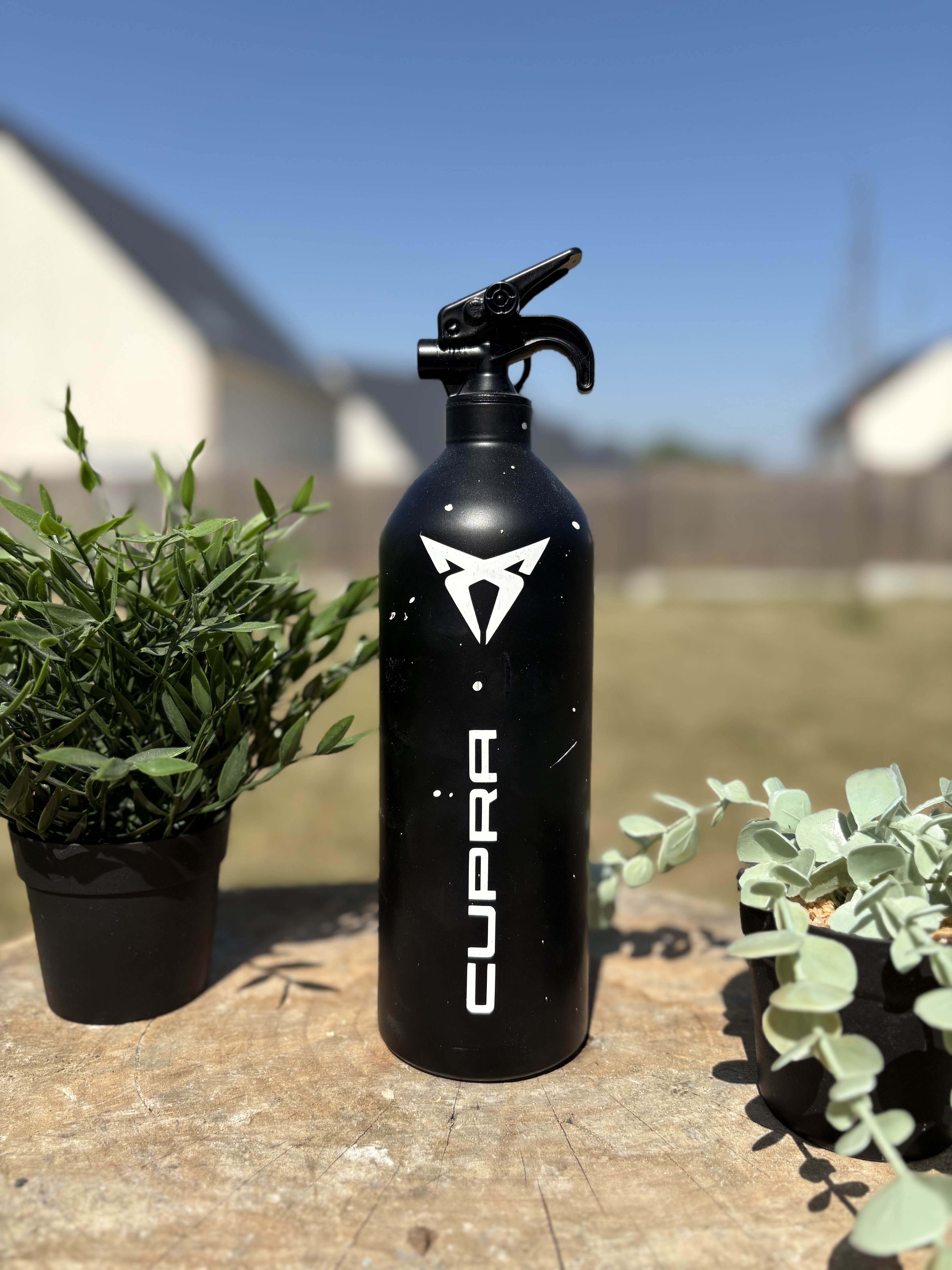 Extincteur 1KG CUPRA