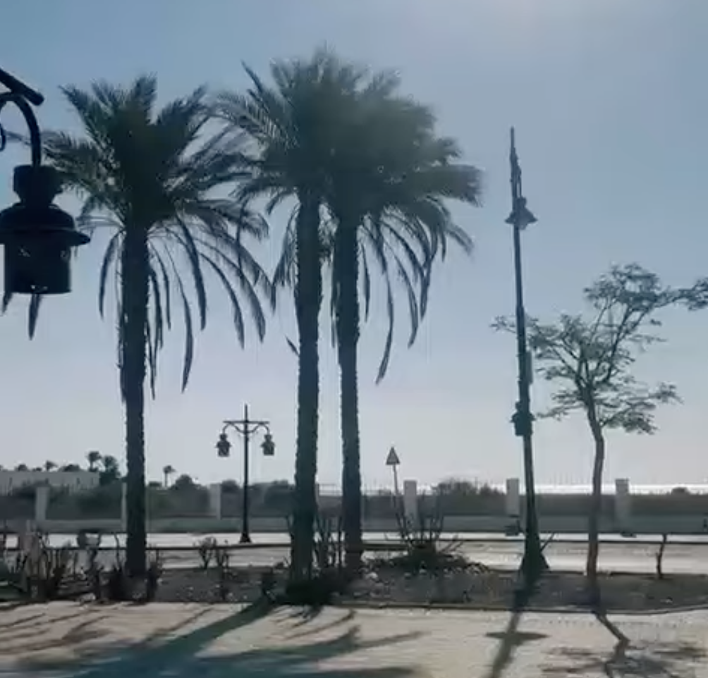 3 Bedroom Apartment central El Mamsha