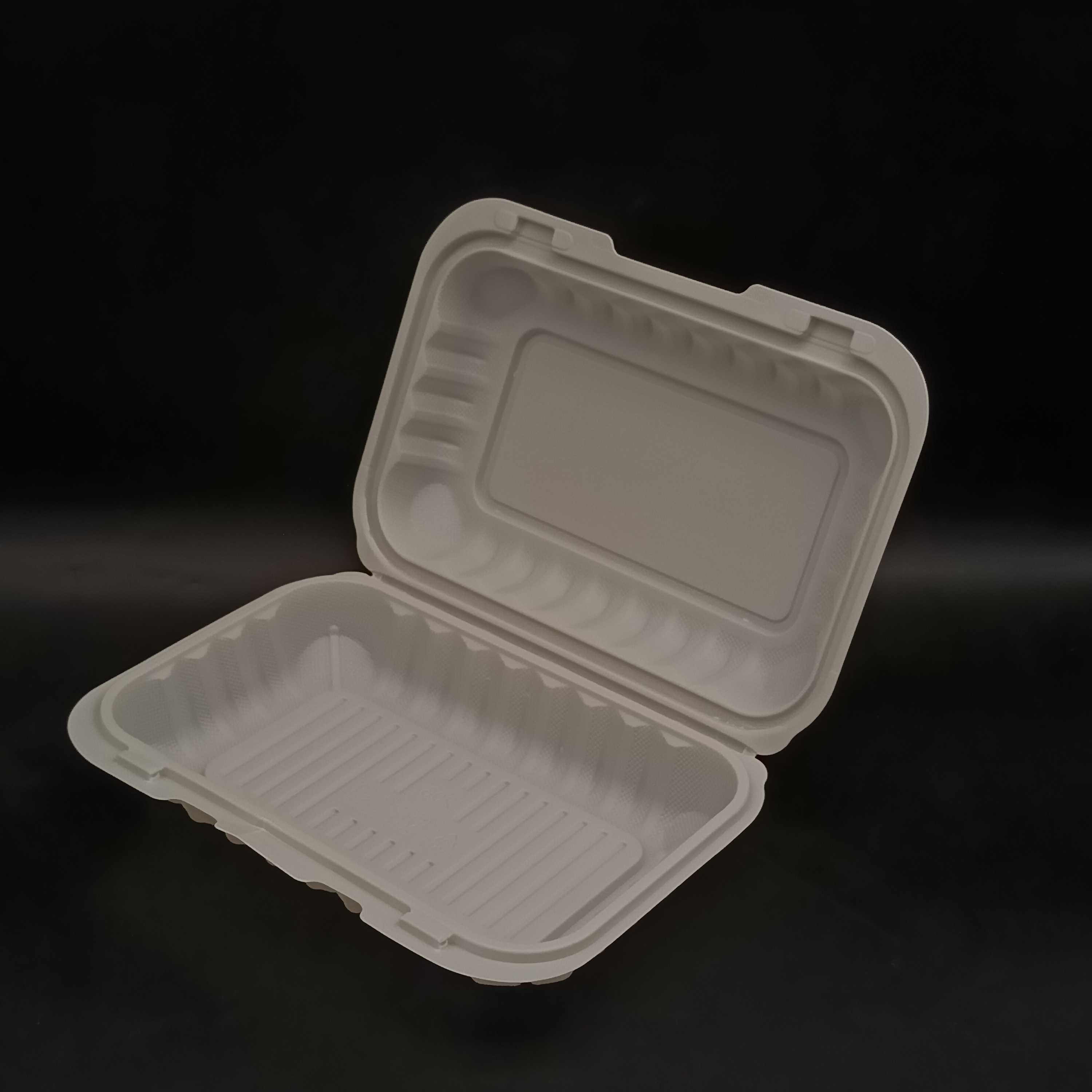 9" x 6" 1- Compartment Microwavable Hinged Take Out FH206