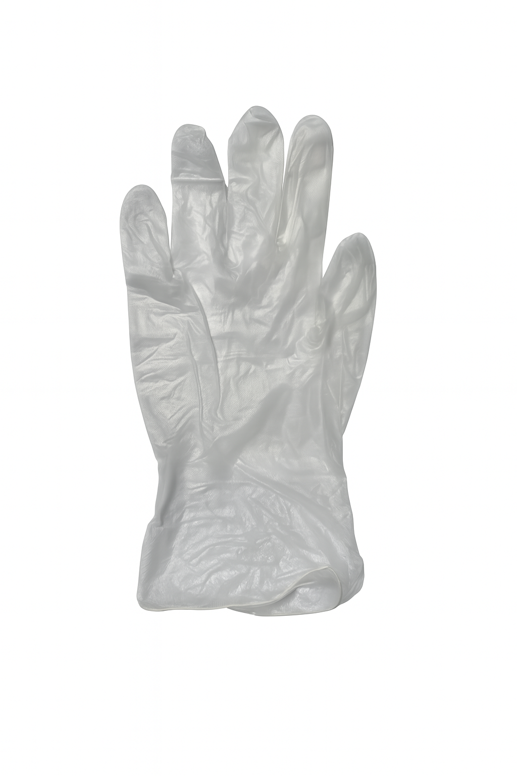 PVC Powder Free Glove 1000/case