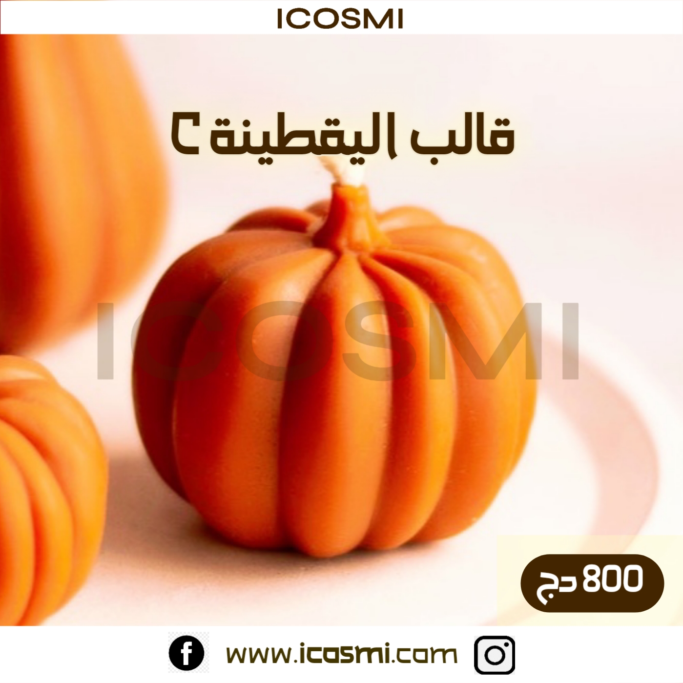 C قالب اليقطينة 