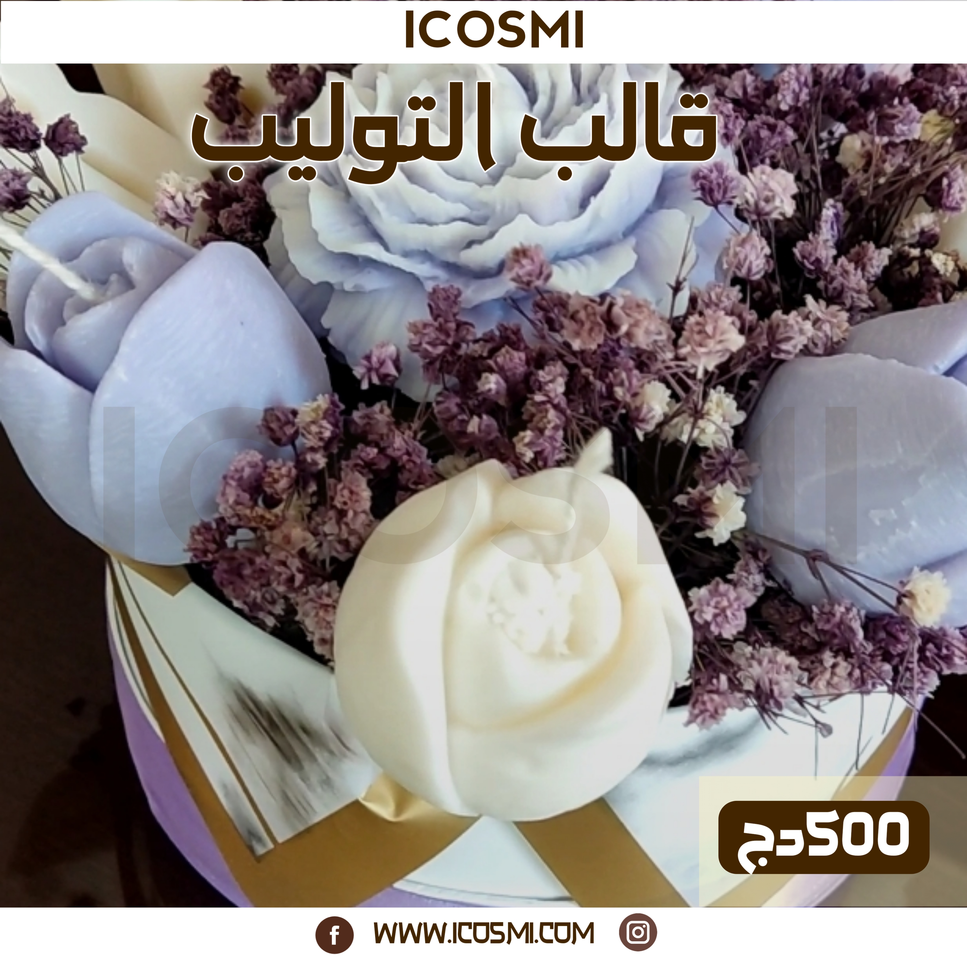 قالب زهرة التوليب