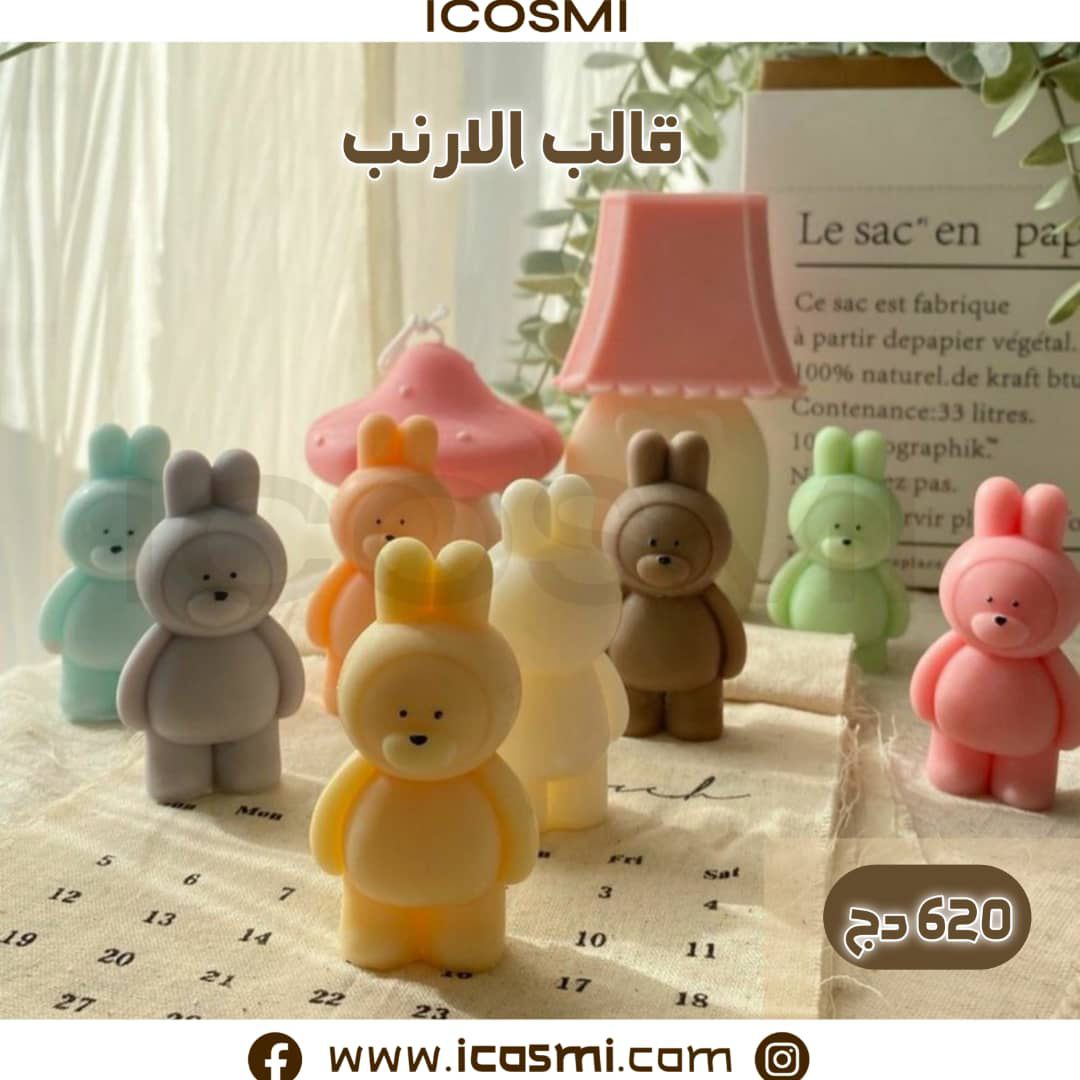 قالب الأرنب