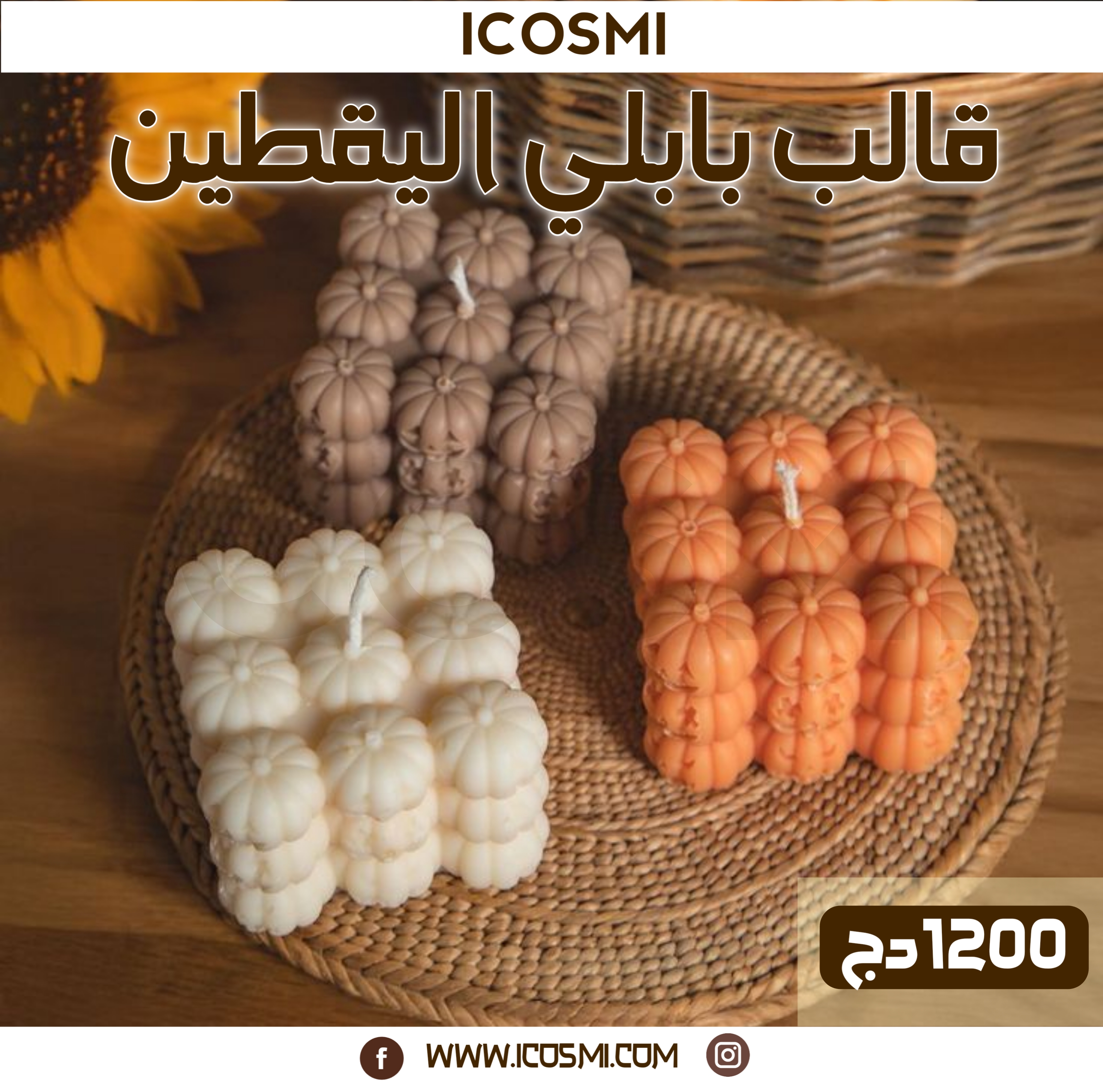 قالب بابلي اليقطين