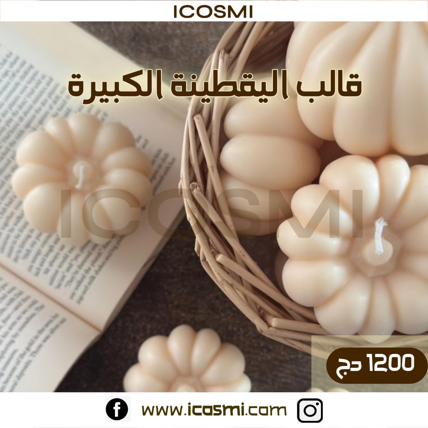 قالب اليقطينة الكبيرة