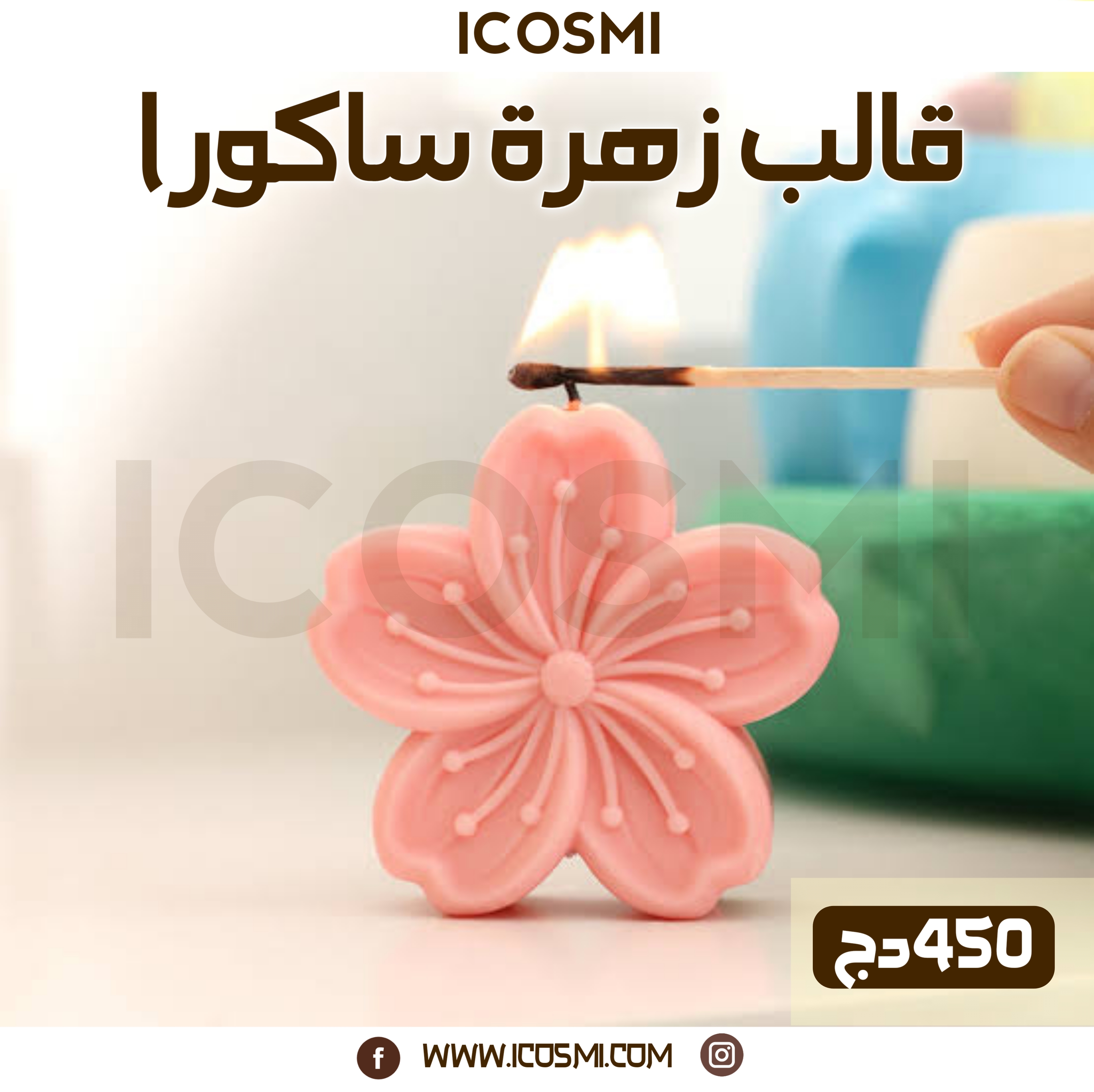 قالب زهرة ساكورا