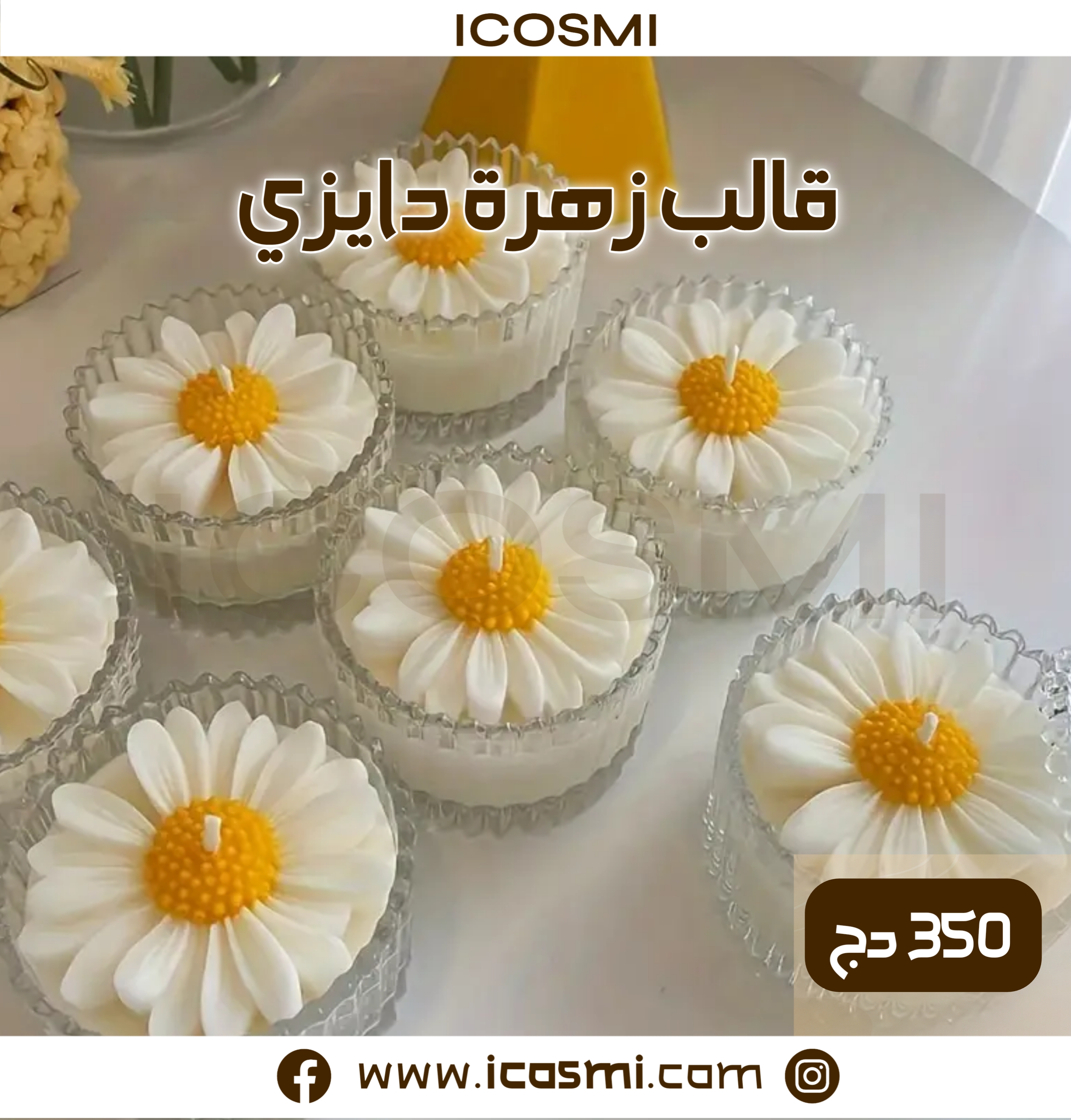 قالب زهرة دايزي