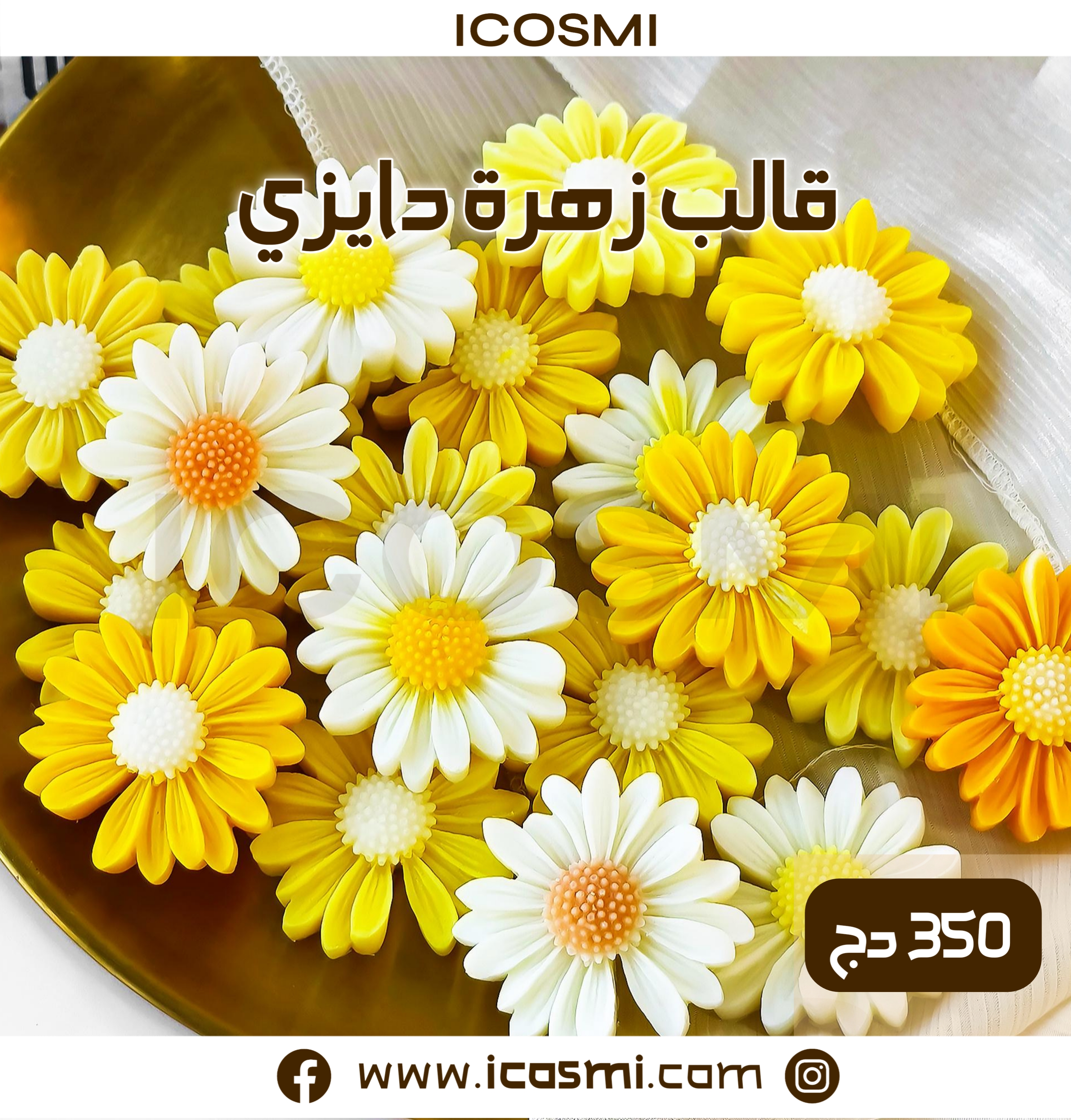 قالب زهرة دايزي