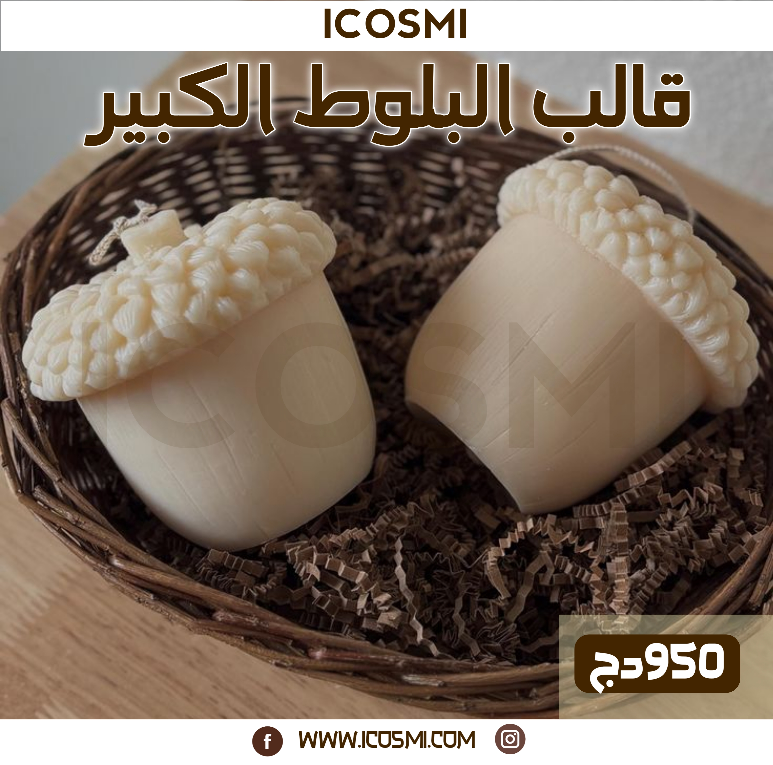 قالب البلوط الكبير