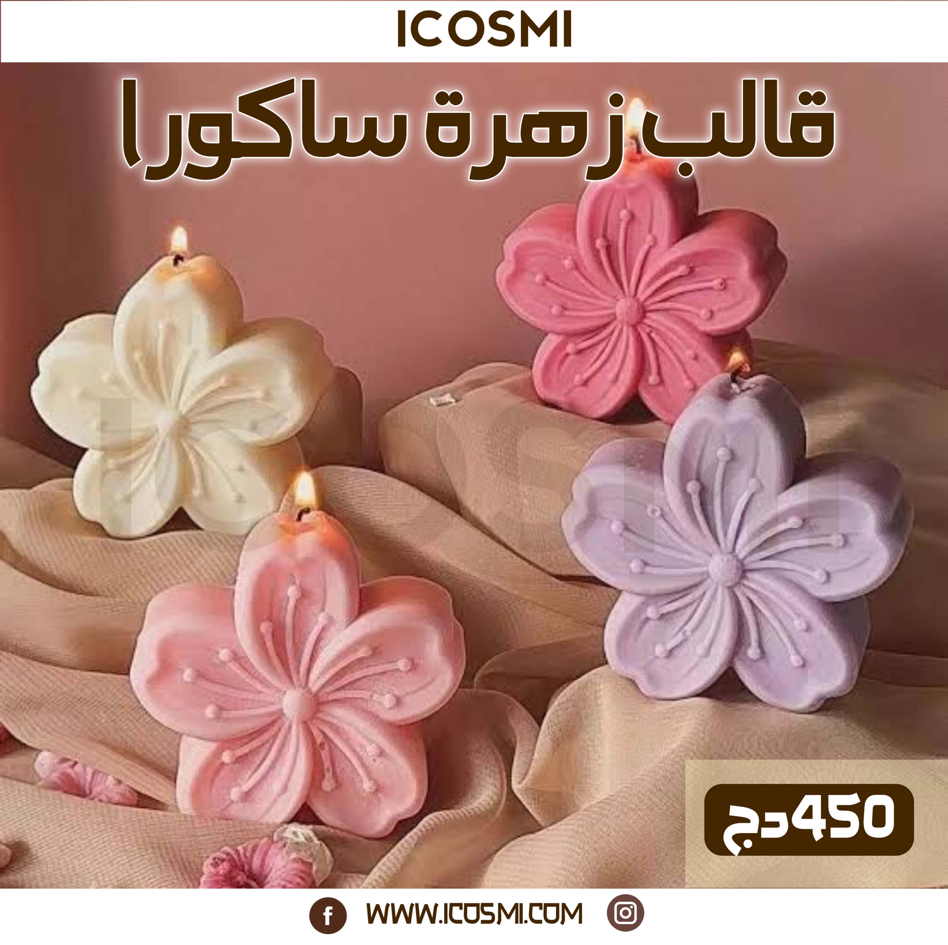 قالب زهرة ساكورا