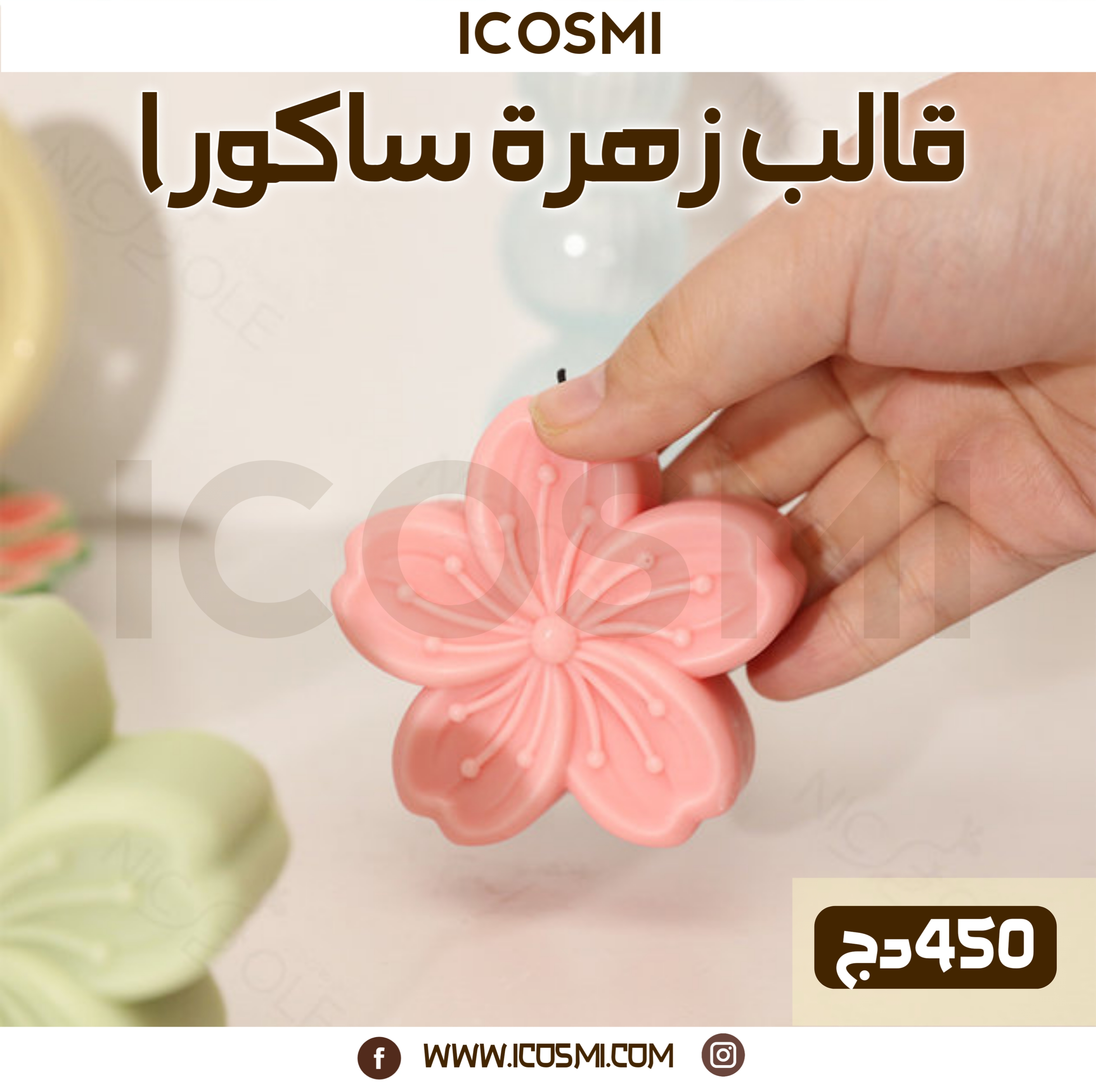 قالب زهرة ساكورا