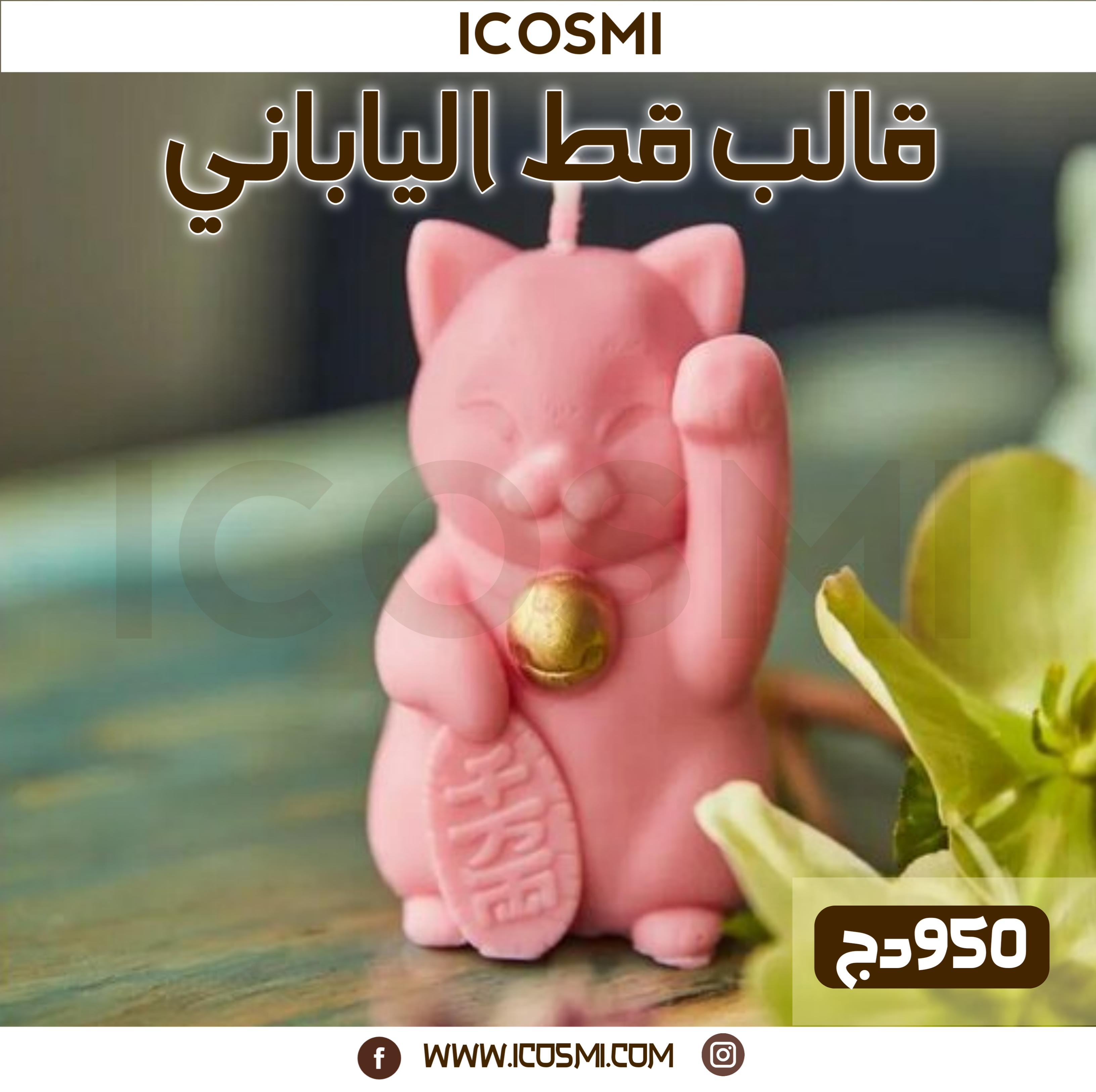 قالب قط ياباني