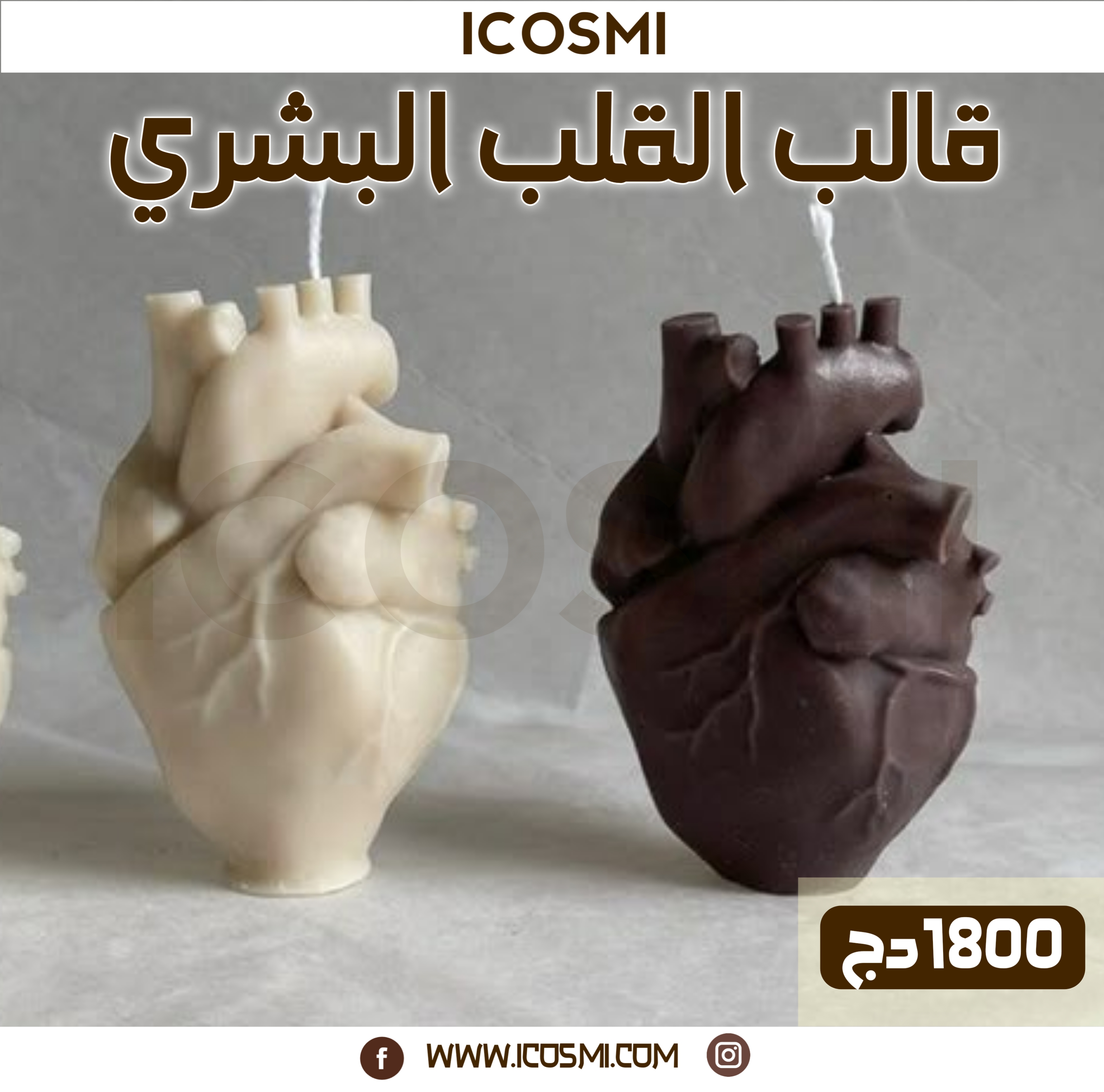 قالب القلب البشري