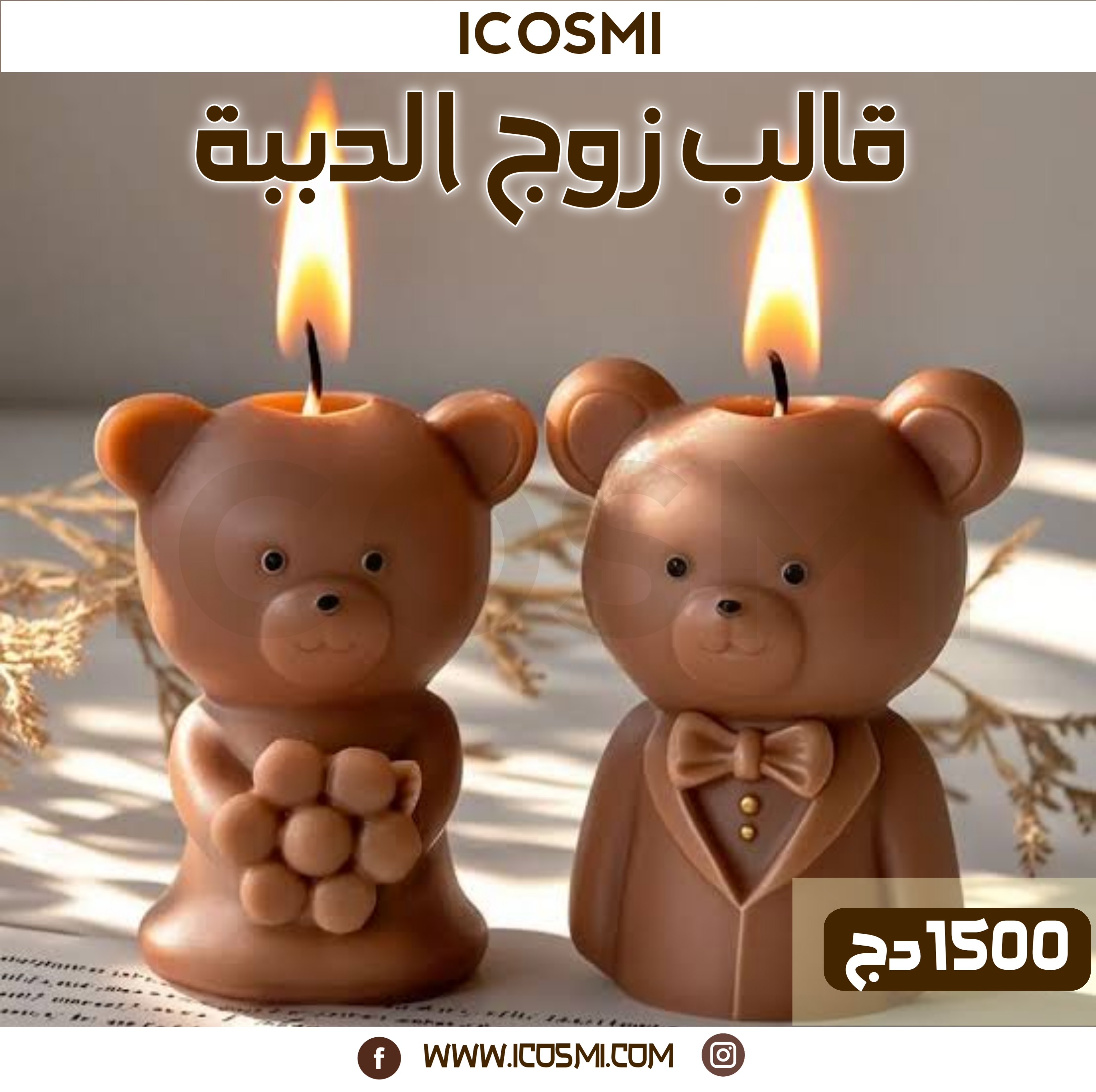 قالب زوج الدببة