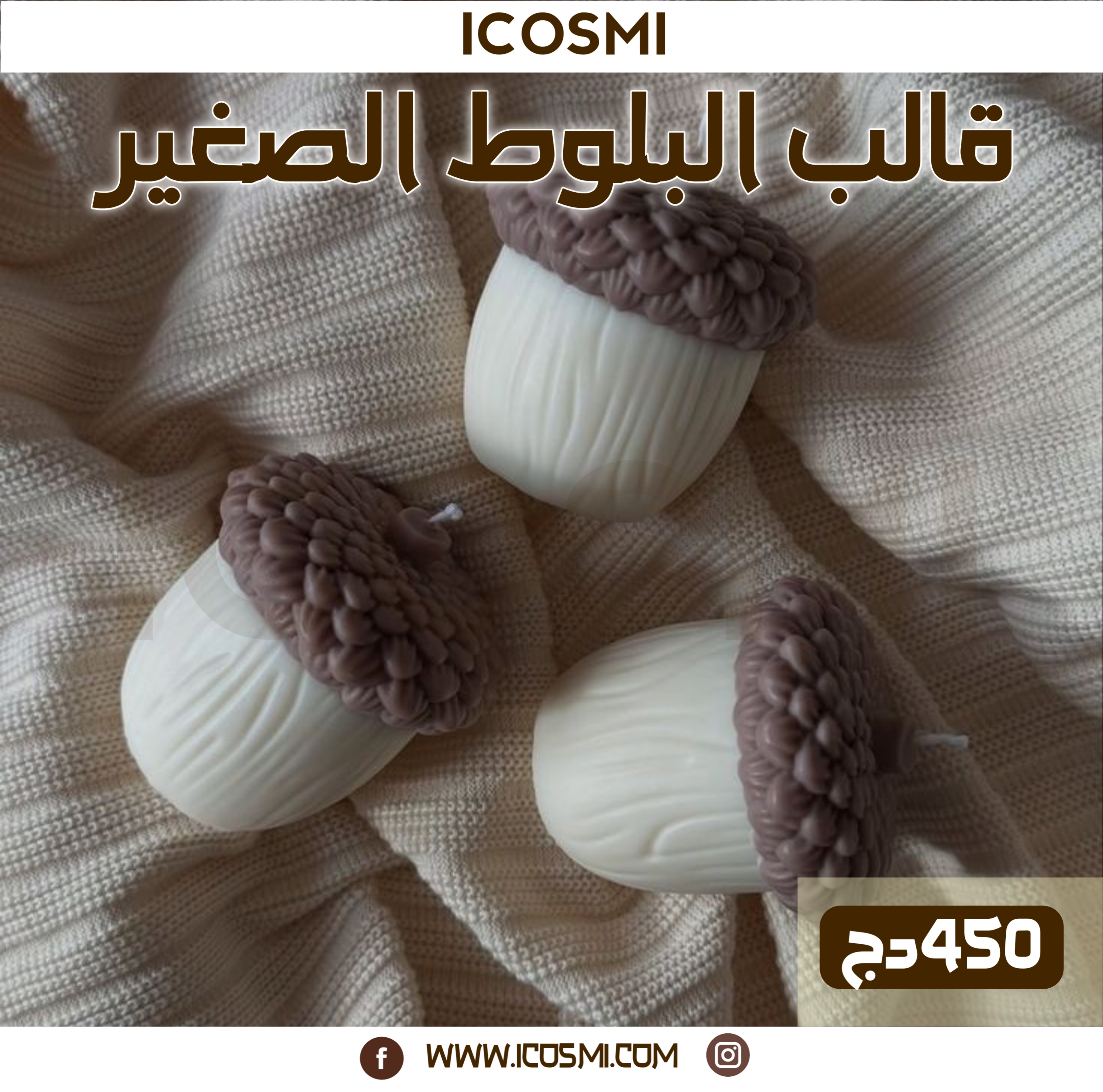 قالب البلوط الصغير