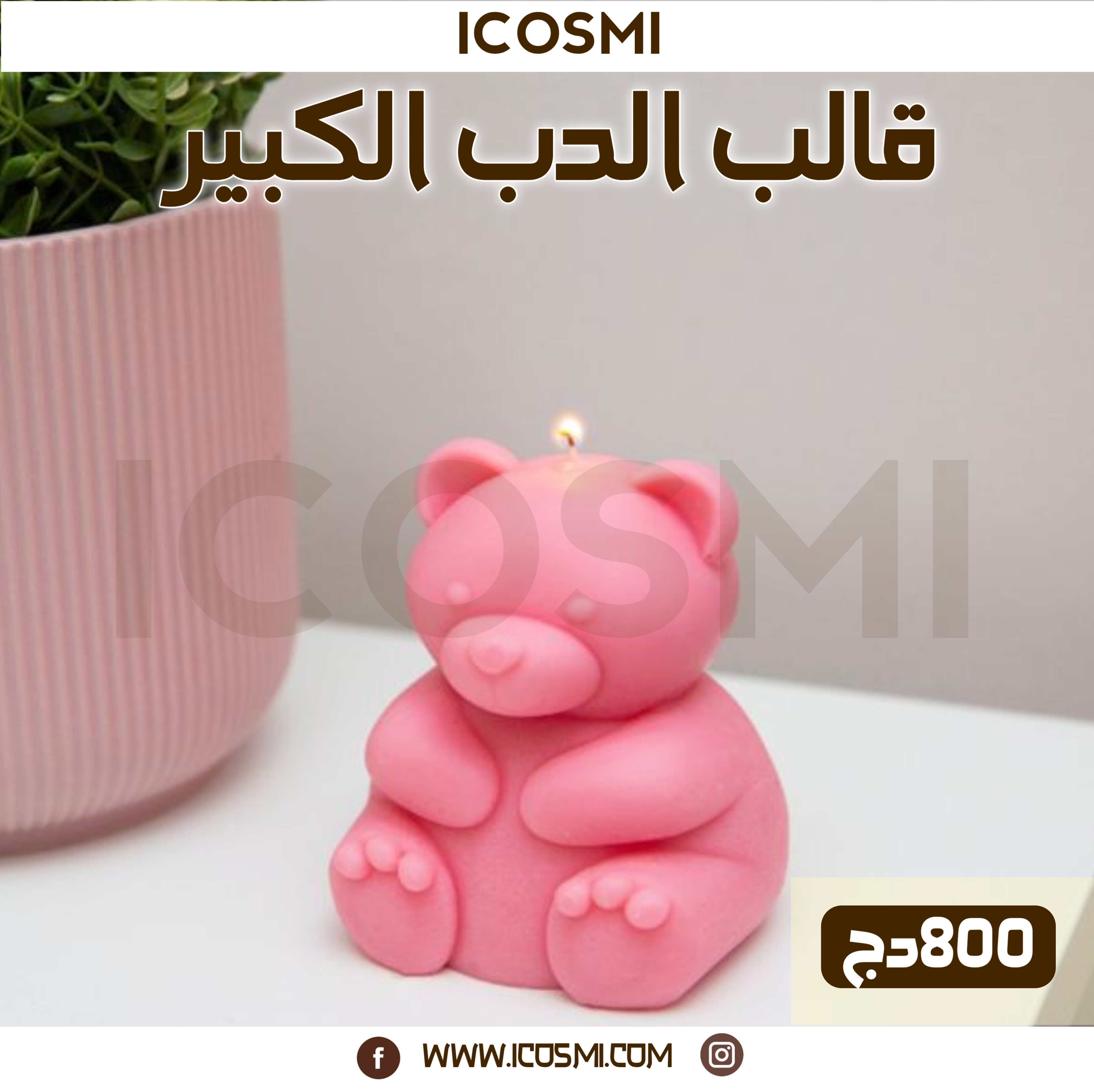 قالب الدب الكبير