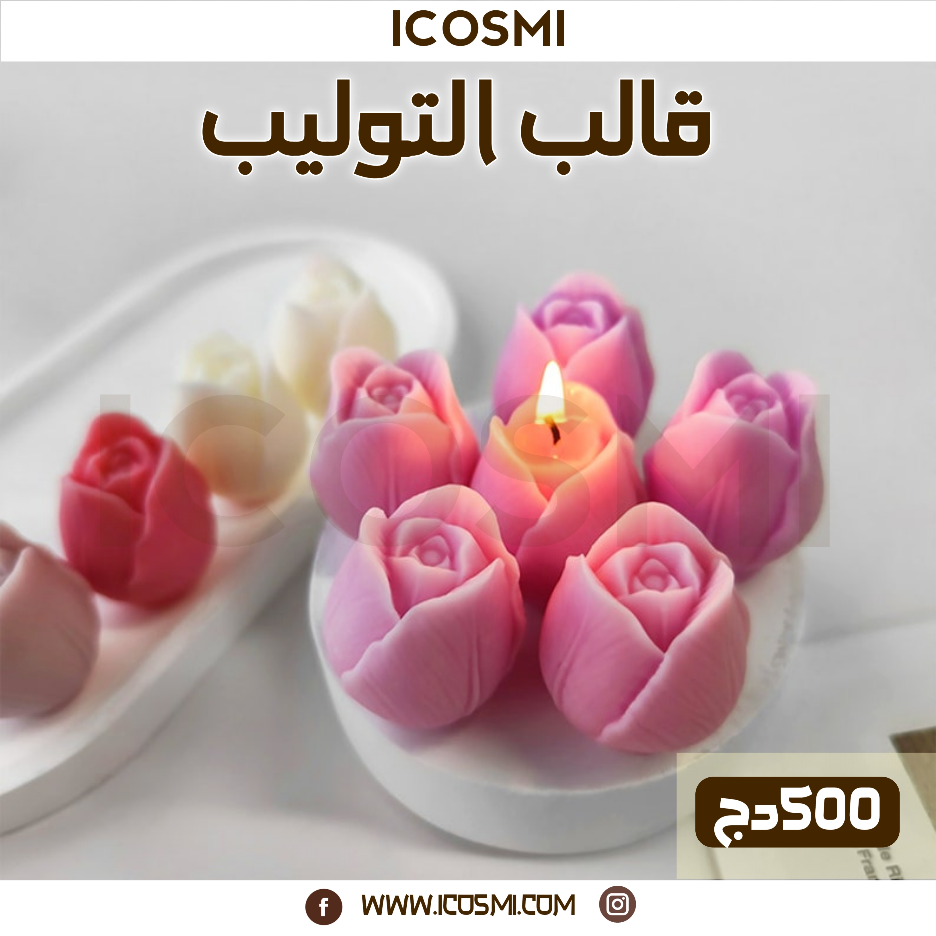 قالب زهرة التوليب