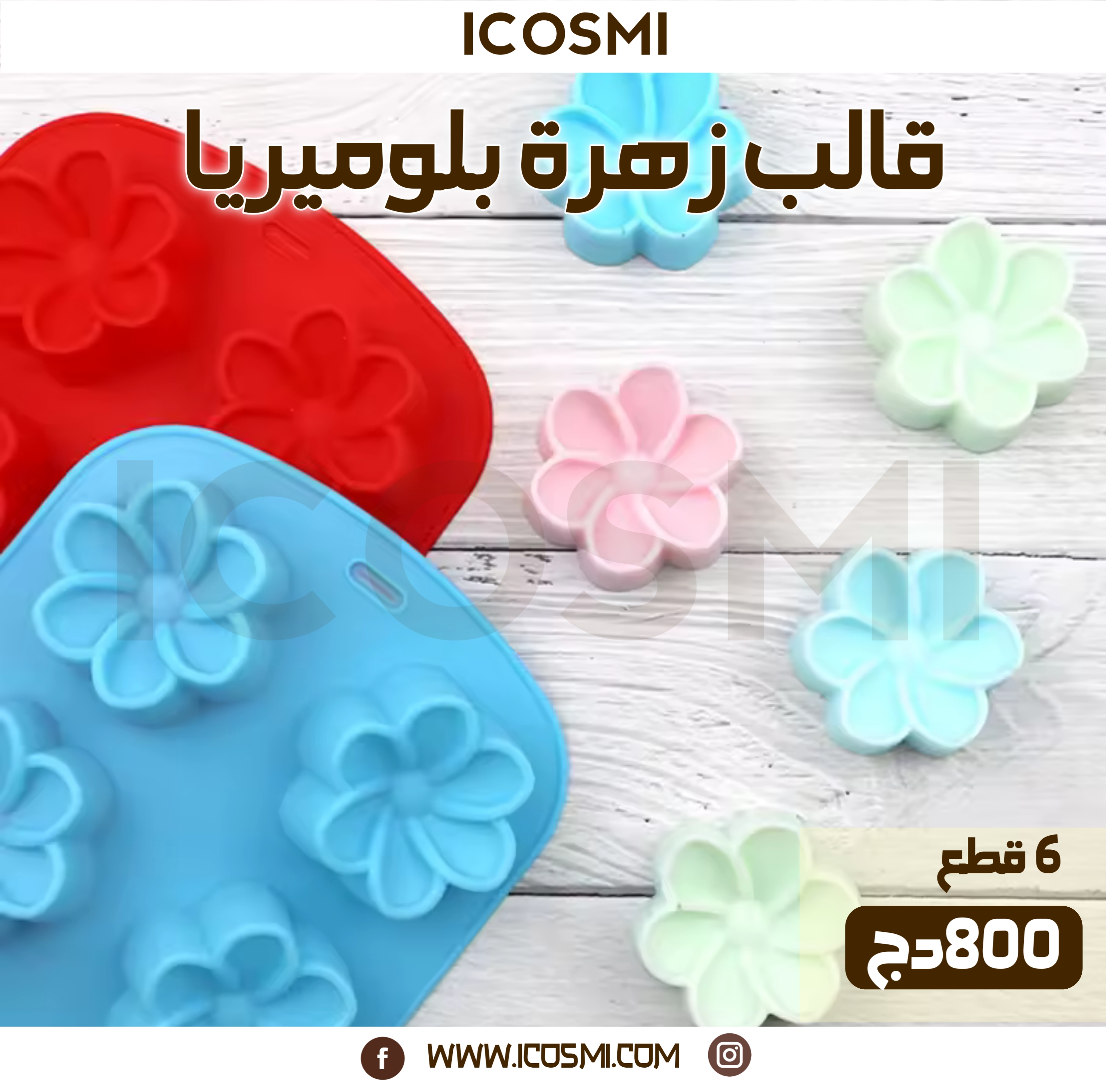 قالب زهرة بلوميريا