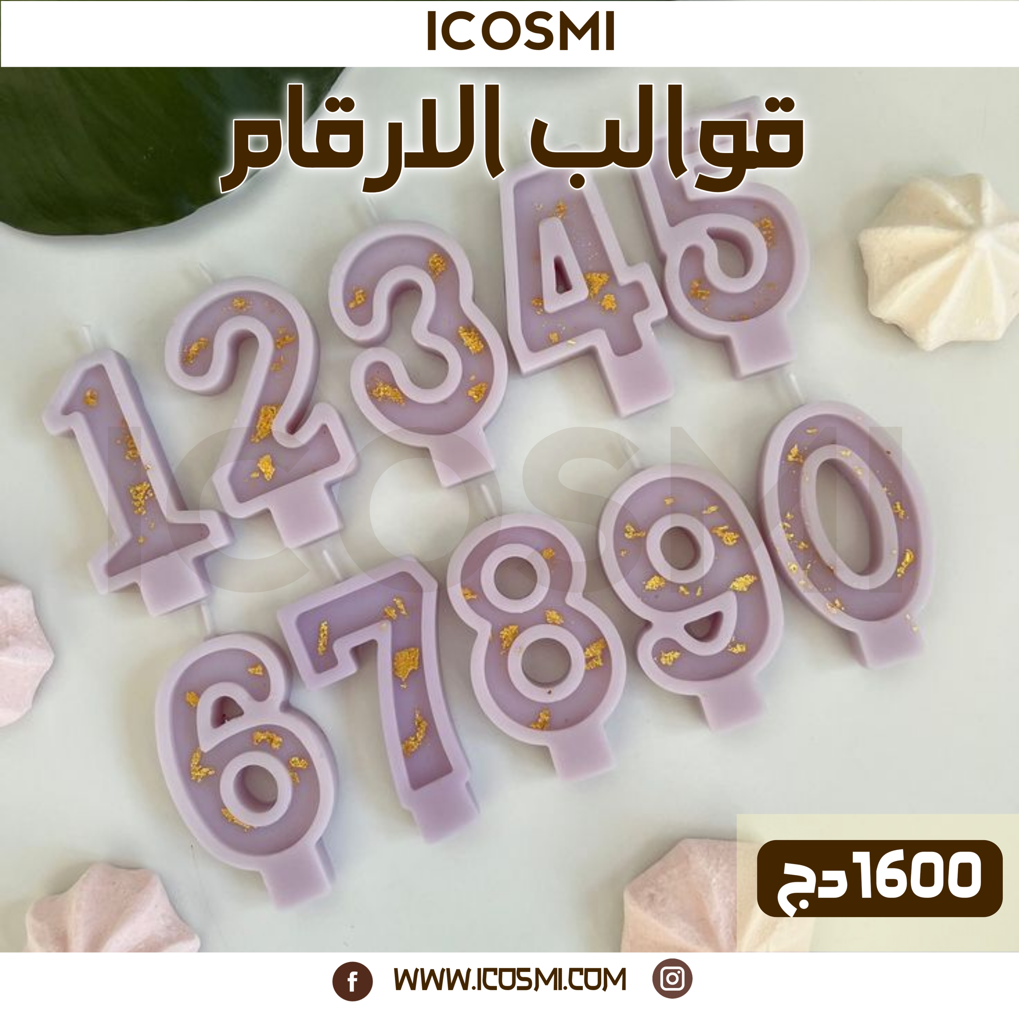 قوالب الأرقام