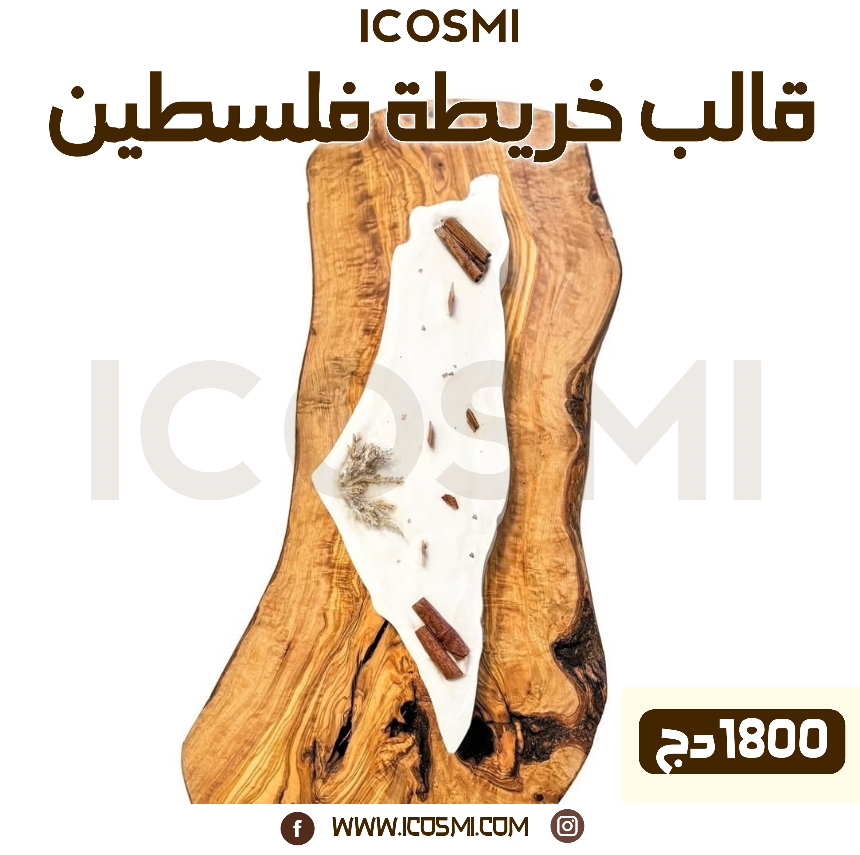 قالب خريطة فلسطين