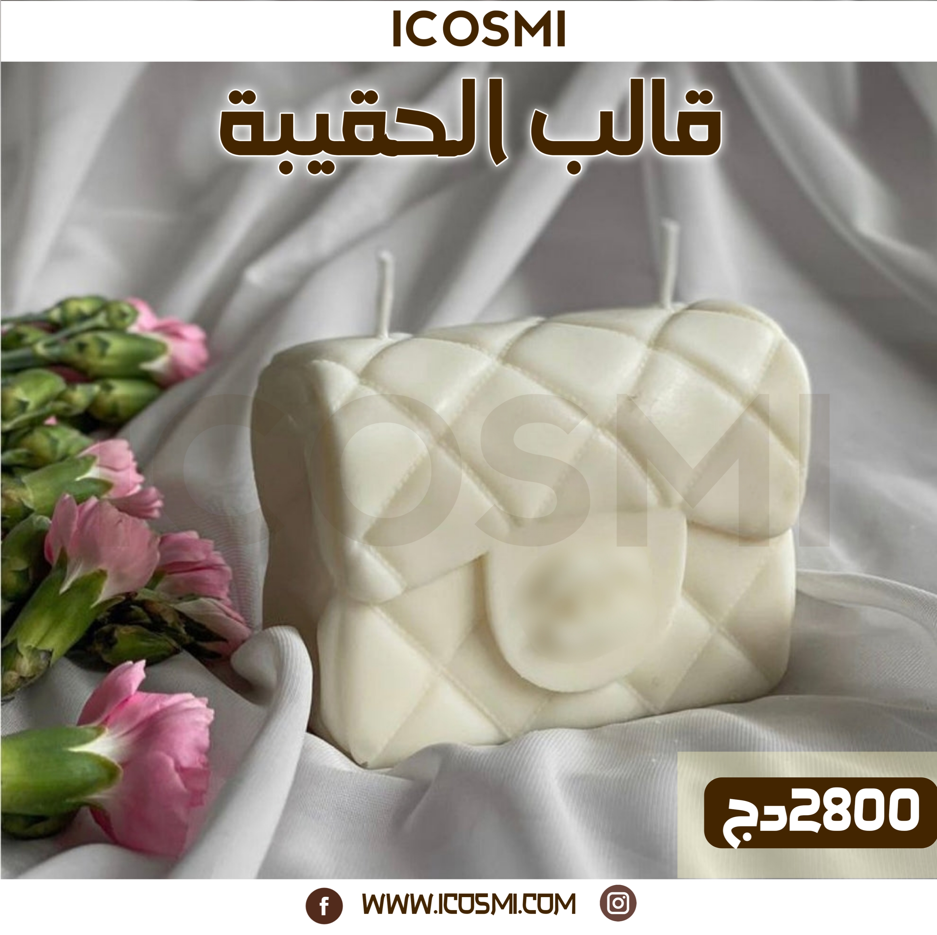 قالب الحقيبة