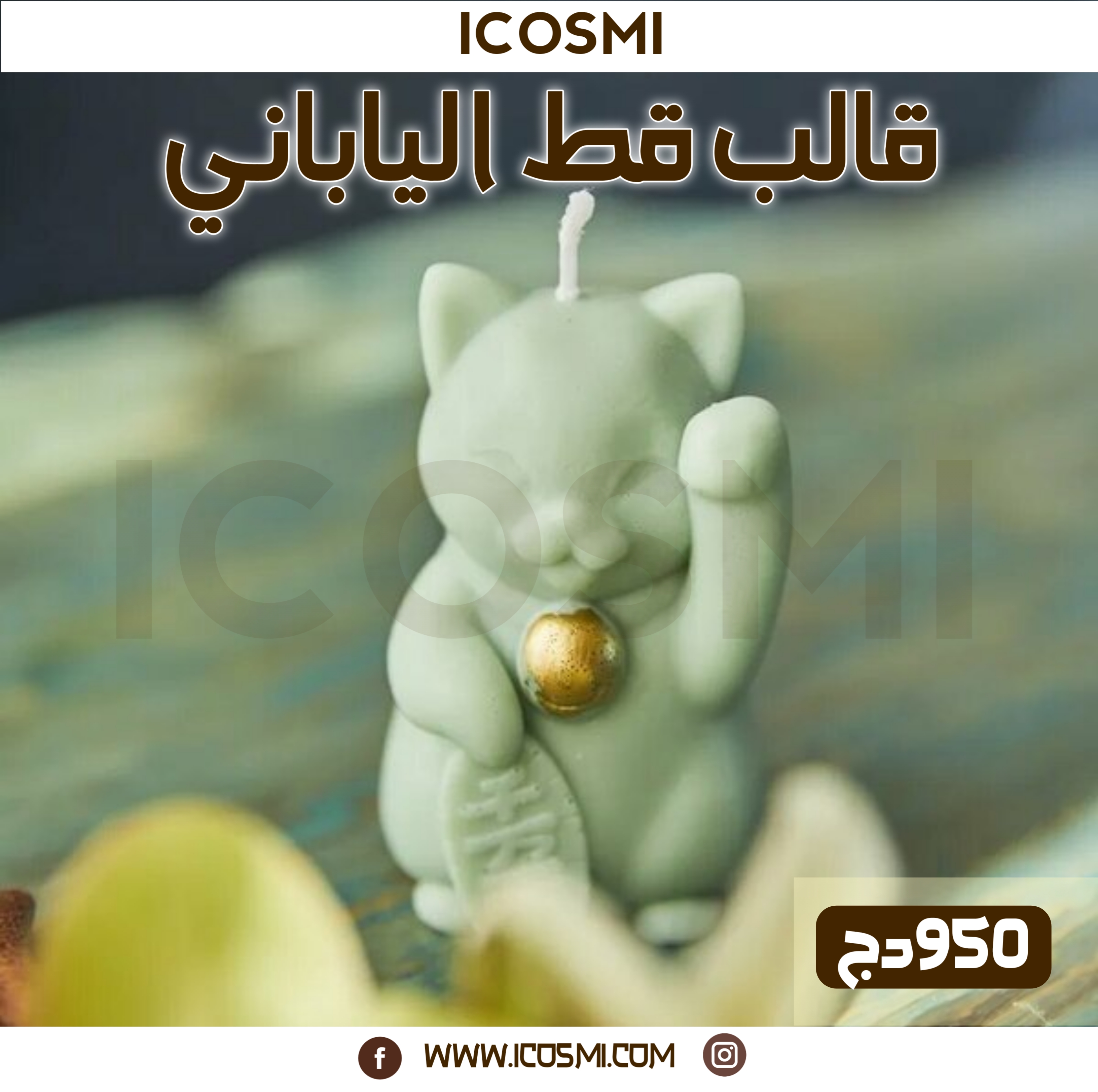 قالب قط ياباني