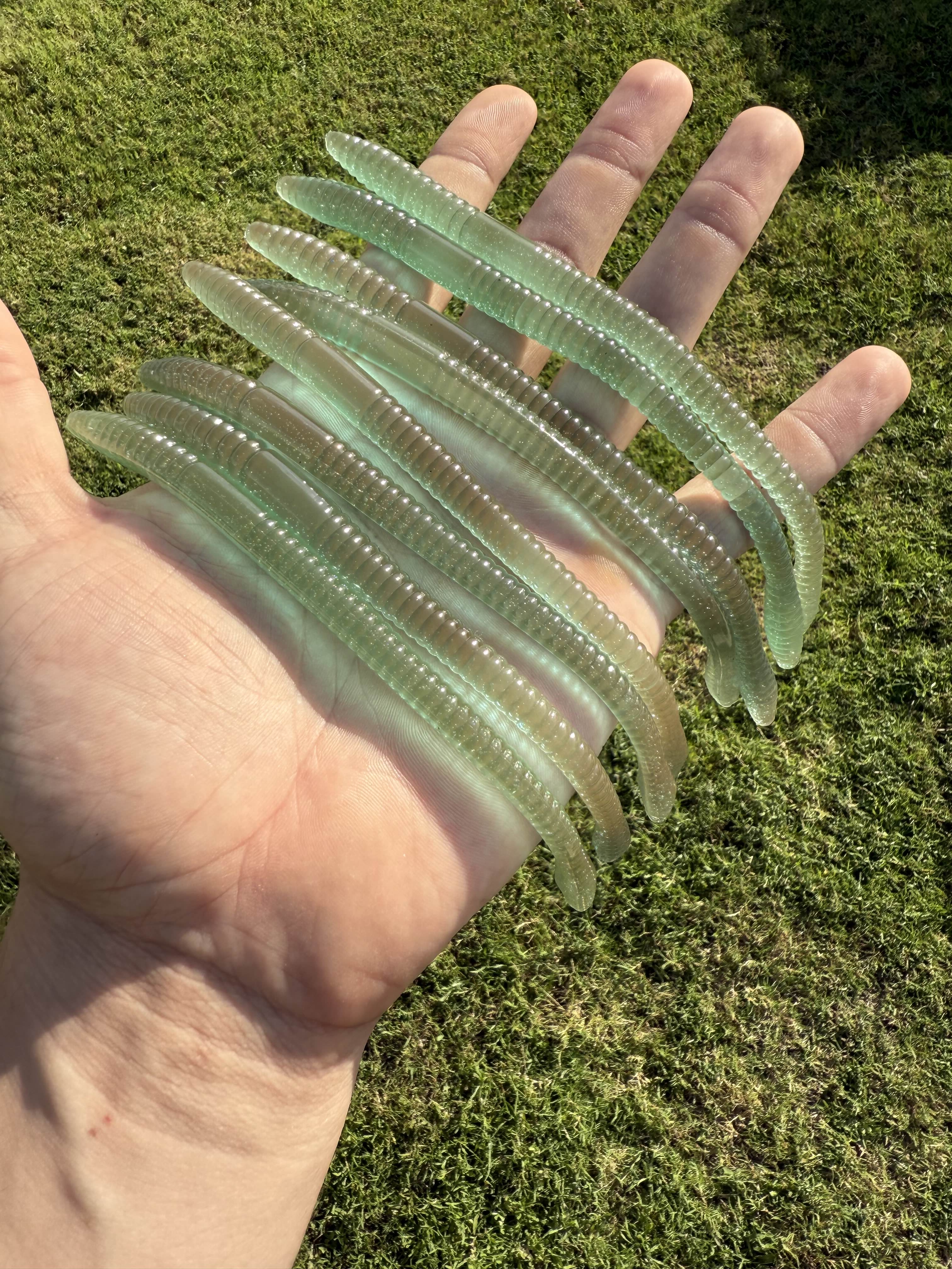 7.25" Flat Worm 8pk
