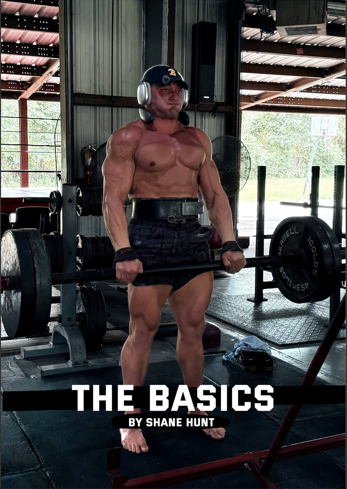 The Basics by Shane Hunt