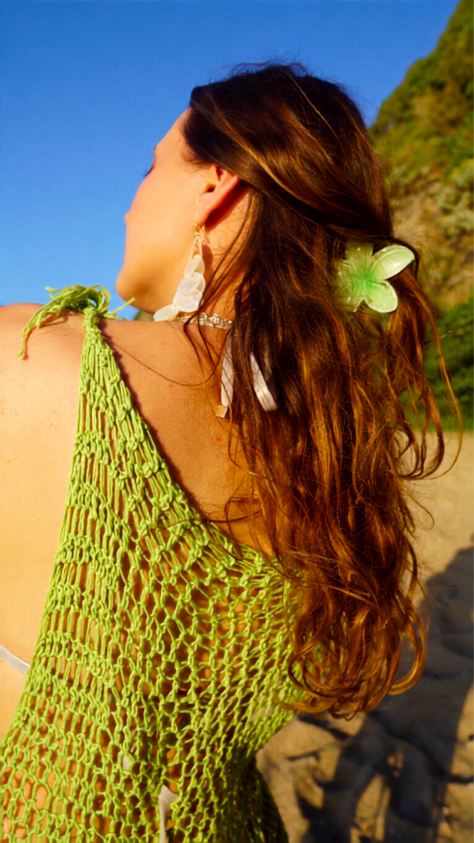 Alga 